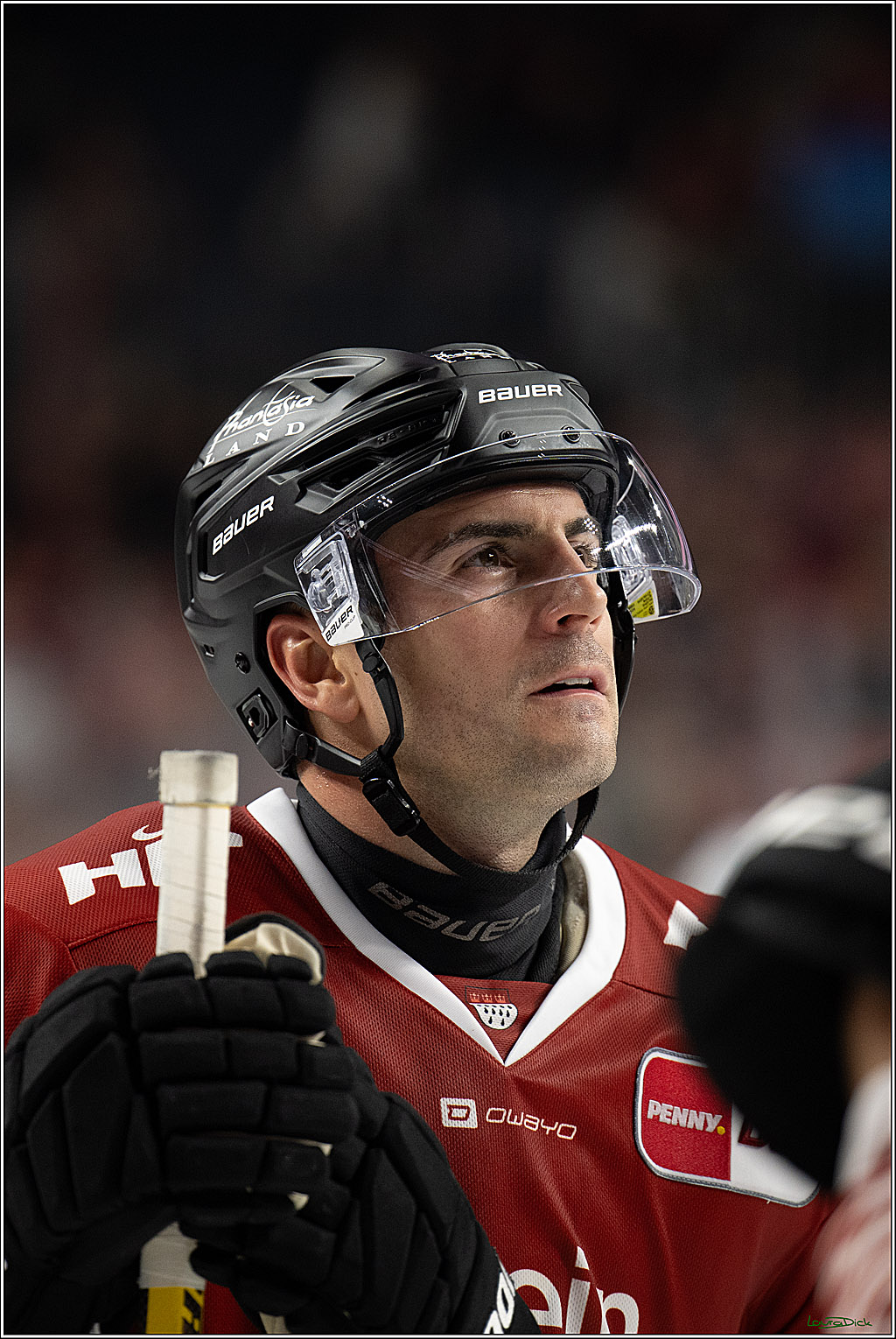 PENNY DEL 1; Kölner Haie - Adler Mannheim; Köln, 27.10.2026