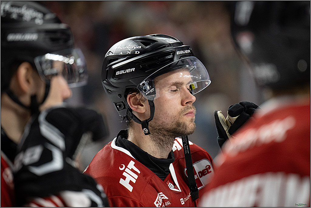 PENNY DEL 1; Kölner Haie - Adler Mannheim; Köln, 27.10.2026