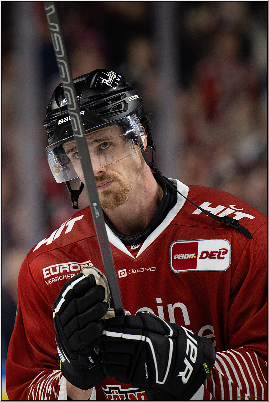PENNY DEL 1; Kölner Haie - Adler Mannheim; Köln, 27.10.2026