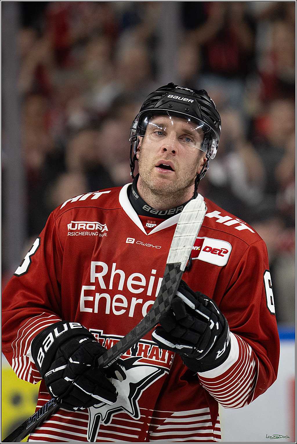 PENNY DEL 1; Kölner Haie - Adler Mannheim; Köln, 27.10.2026