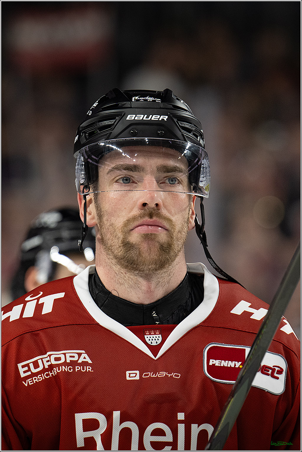 PENNY DEL 1; Kölner Haie - Adler Mannheim; Köln, 27.10.2026