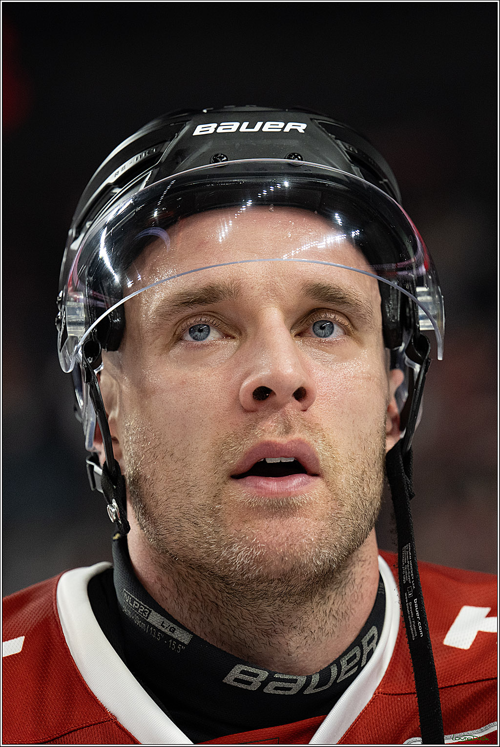 PENNY DEL 1; Kölner Haie - Adler Mannheim; Köln, 27.10.2026