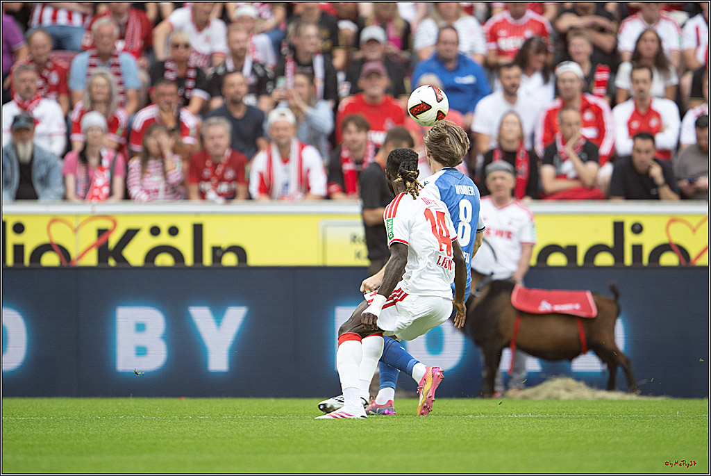 1. Fussball Bundesliga, 1.FC Köln - TSG 1899 Hoffenheim, 29.08.2026