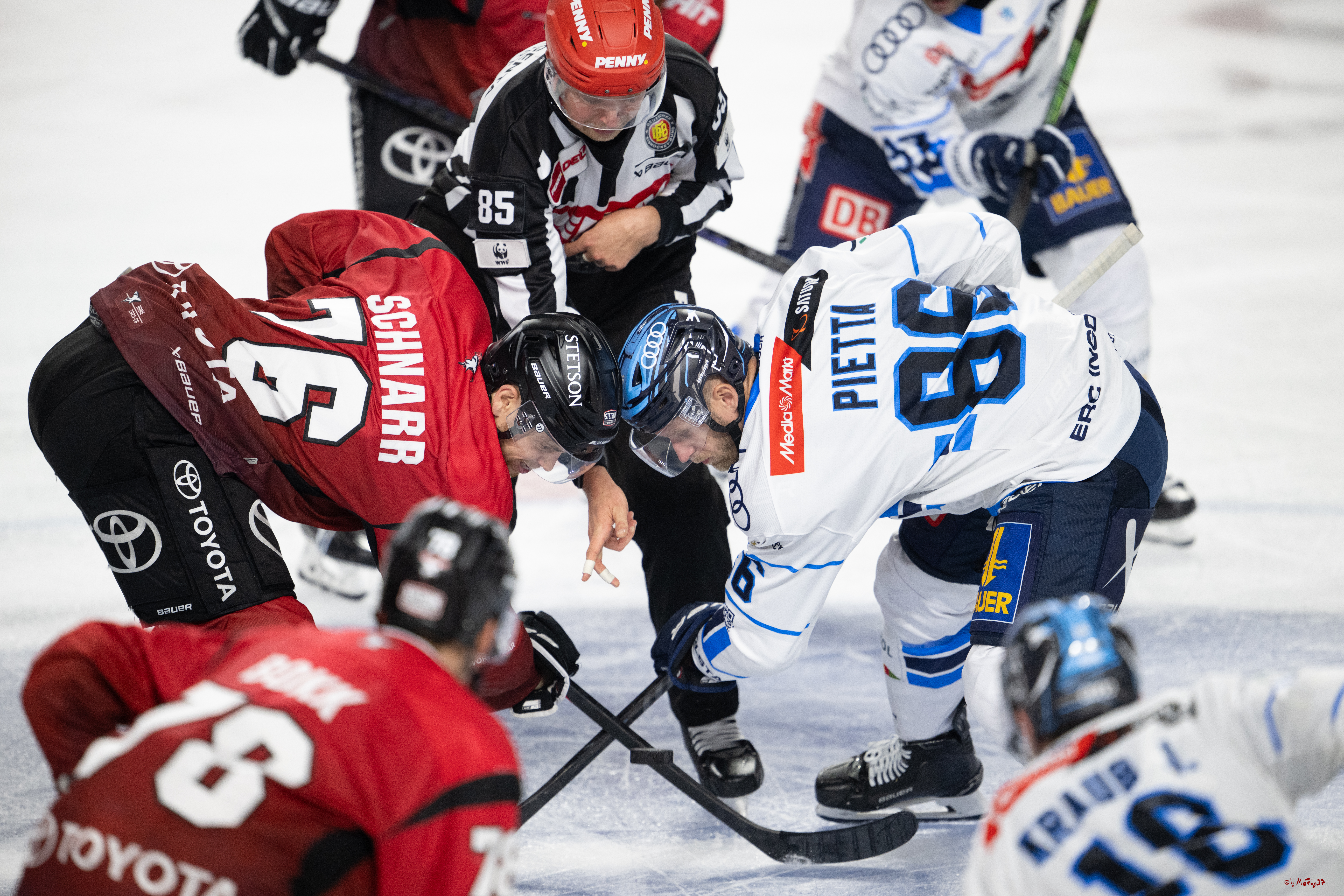 PENNY DEL 1; Kölner Haie - ERC Ingolstadt; Köln, 10.10.2025