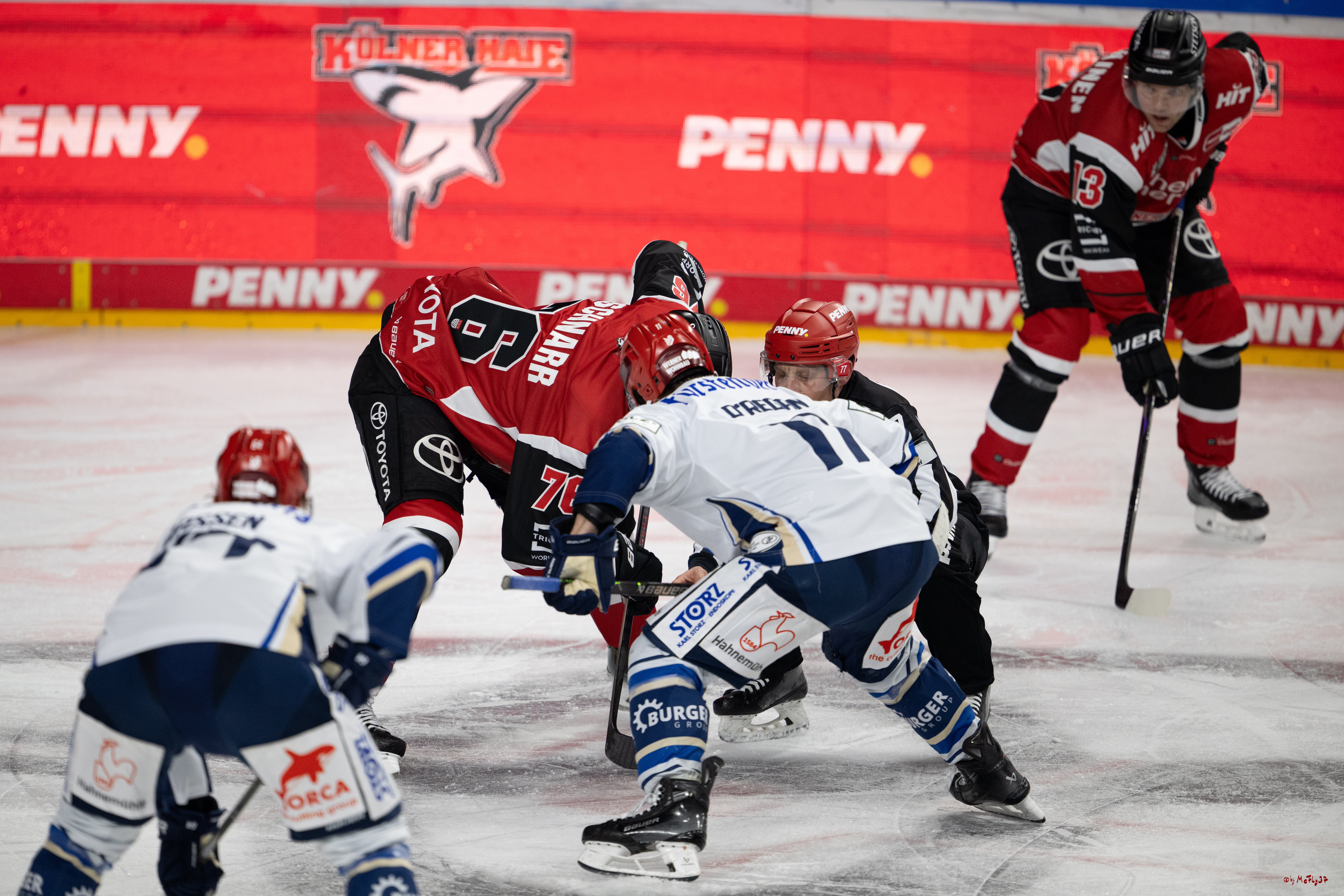 PENNY DEL 1 - Playoff Viertelfinale - Kölner Haie - Schwenninger Wild Wings; Köln, 27.03.2026