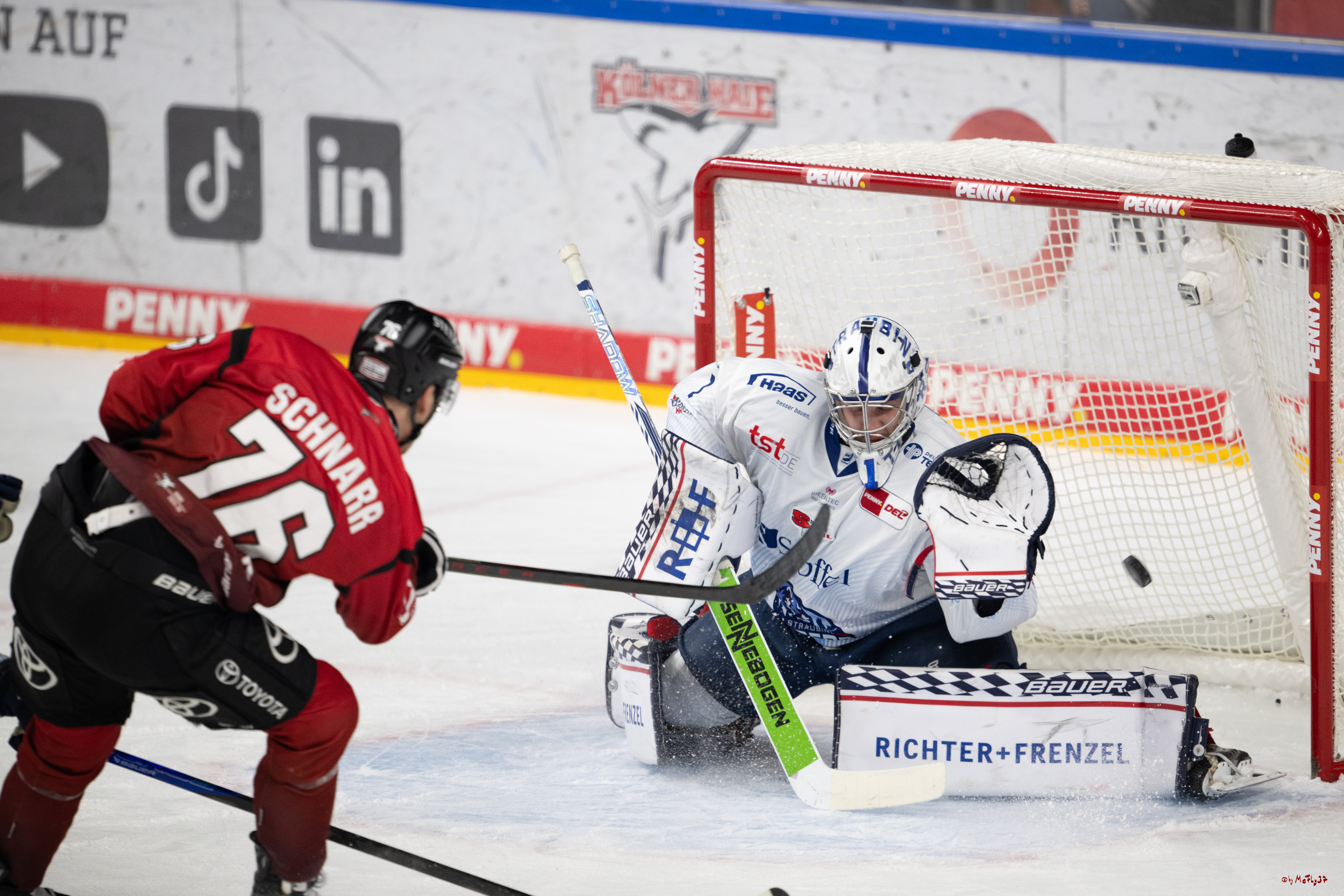 PENNY DEL 1; Kölner Haie - Straubing Tigers; Köln, 02.01.2026