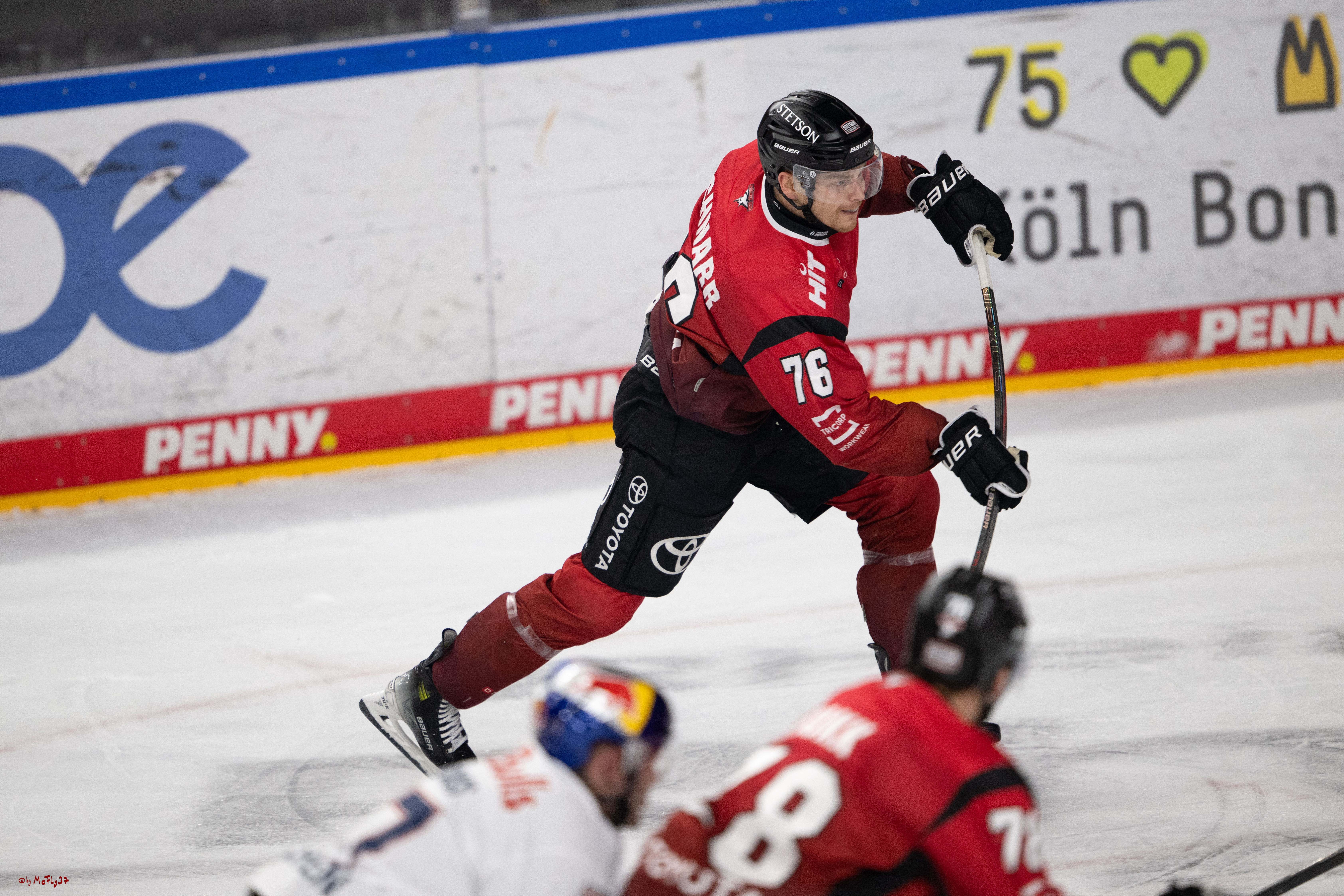 PENNY DEL 1; Kölner Haie - EHC Red Bull München; Köln, 02.11.2025