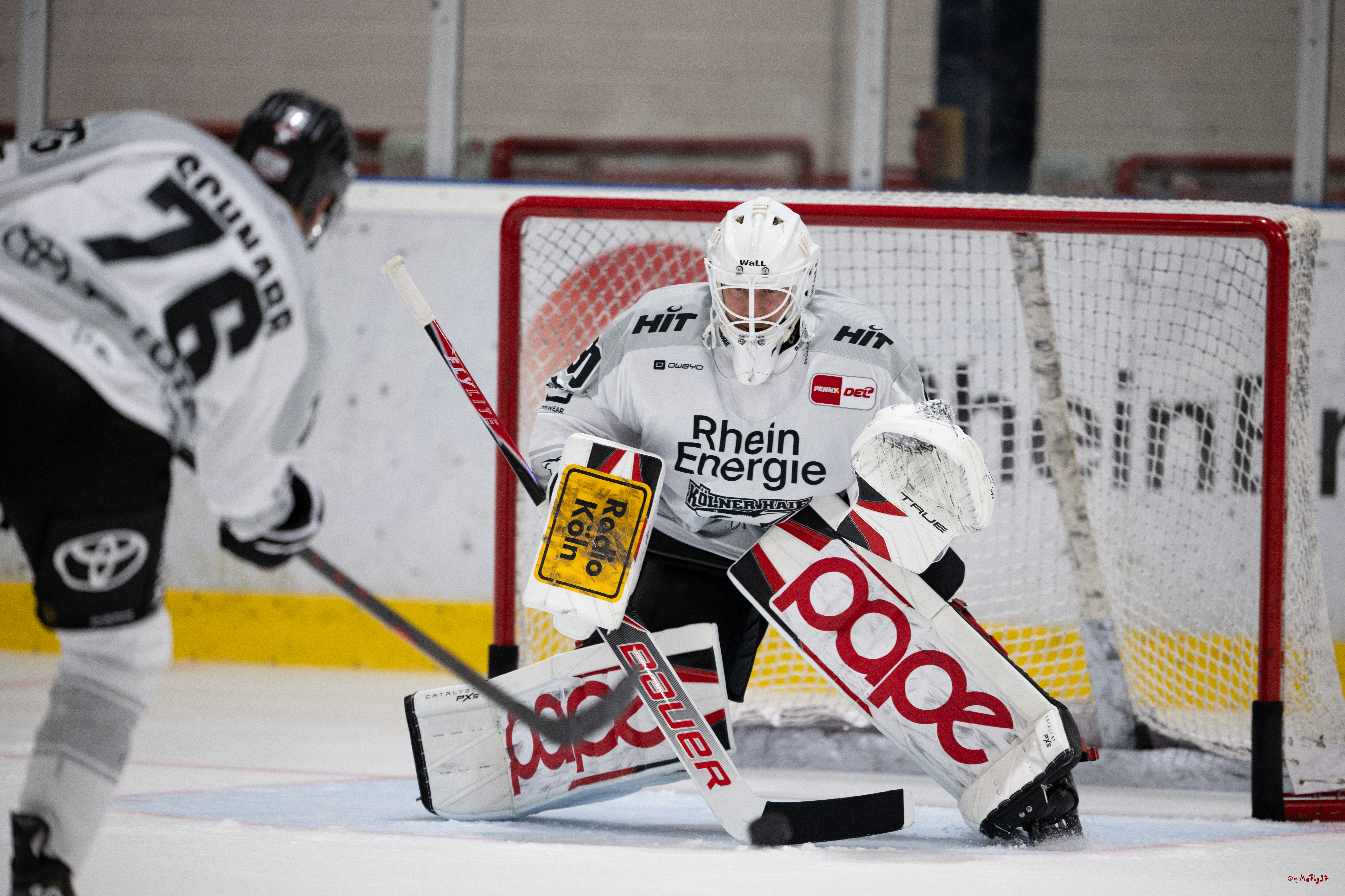 PENNY DEL 1; Trainingsauftakt Kölner Haie; Köln, 10.08.2025