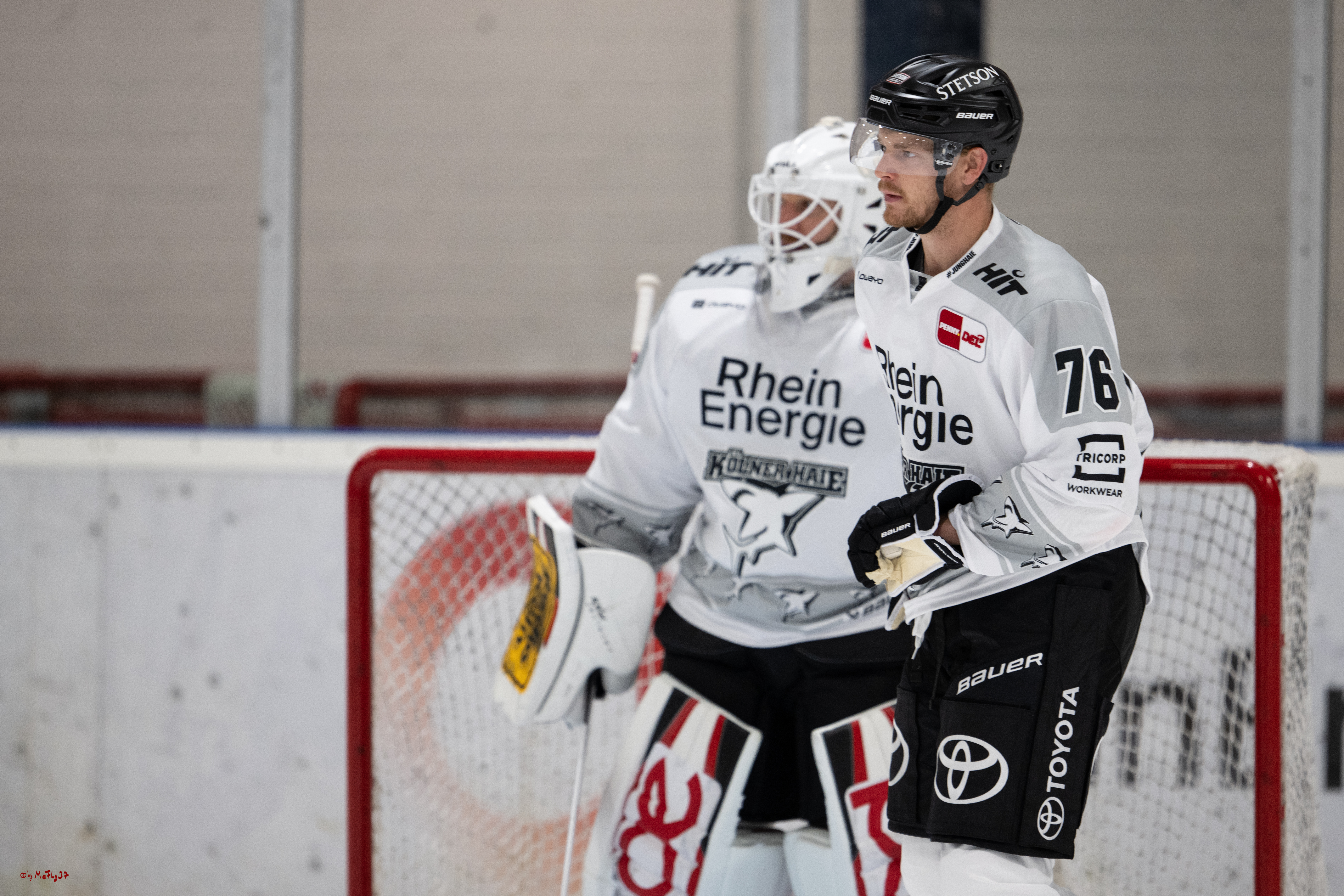 PENNY DEL 1; Trainingsauftakt Kölner Haie; Köln, 10.08.2025