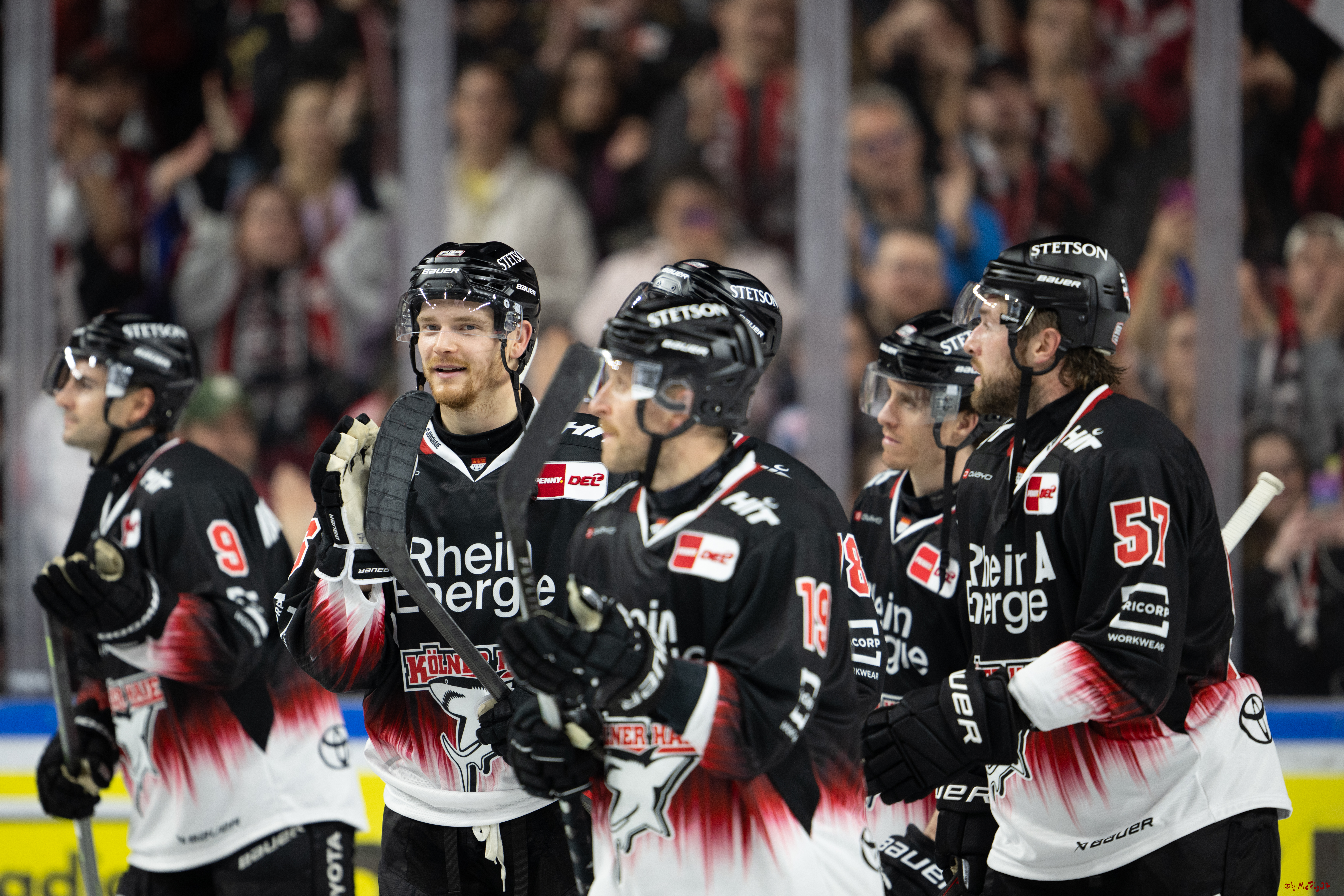 PENNY DEL 1; Kölner Haie - Straubing Tigers; Köln, 19.10.2025