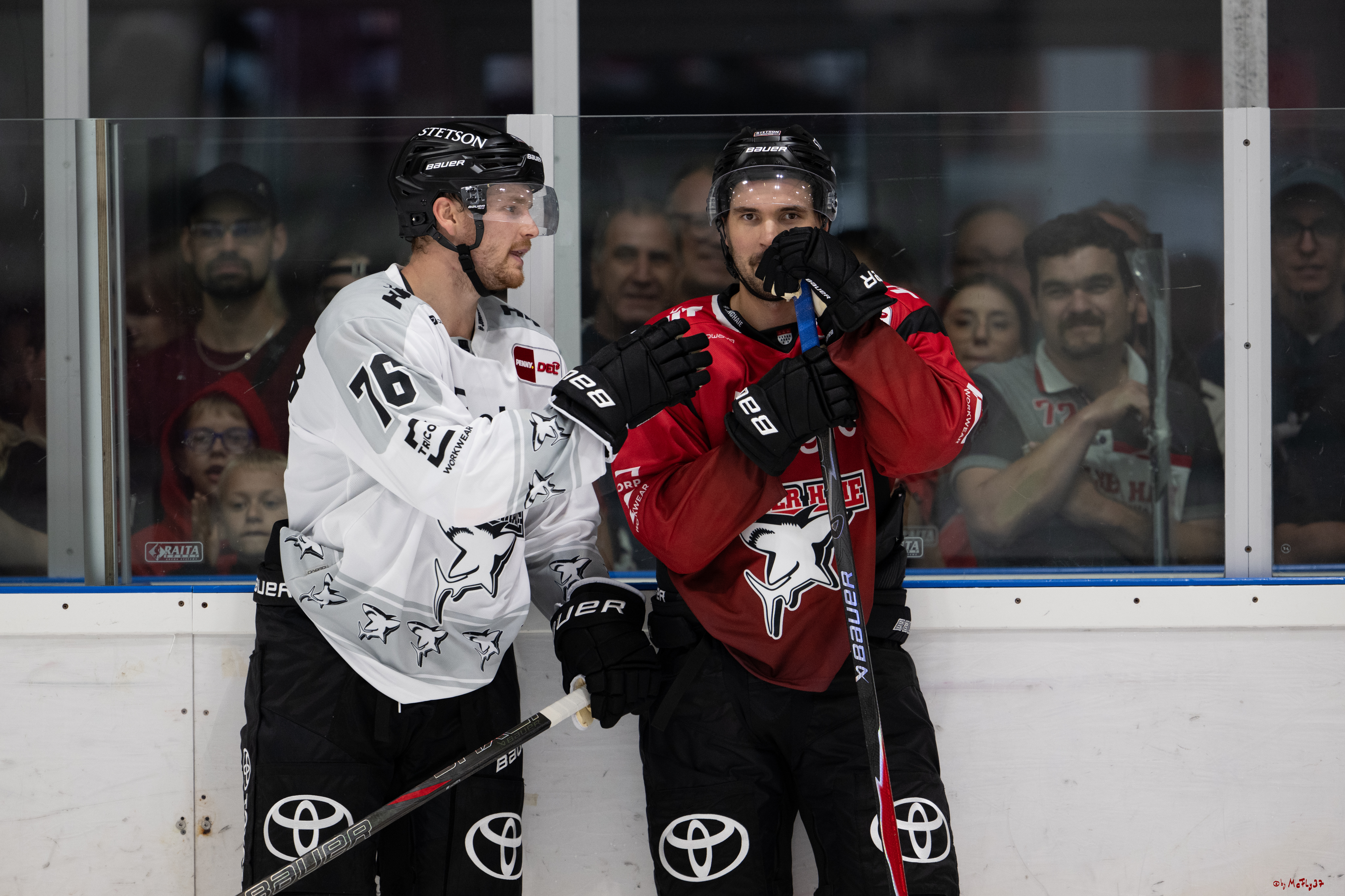 PENNY DEL 1; Trainingsauftakt Kölner Haie; Köln, 10.08.2025