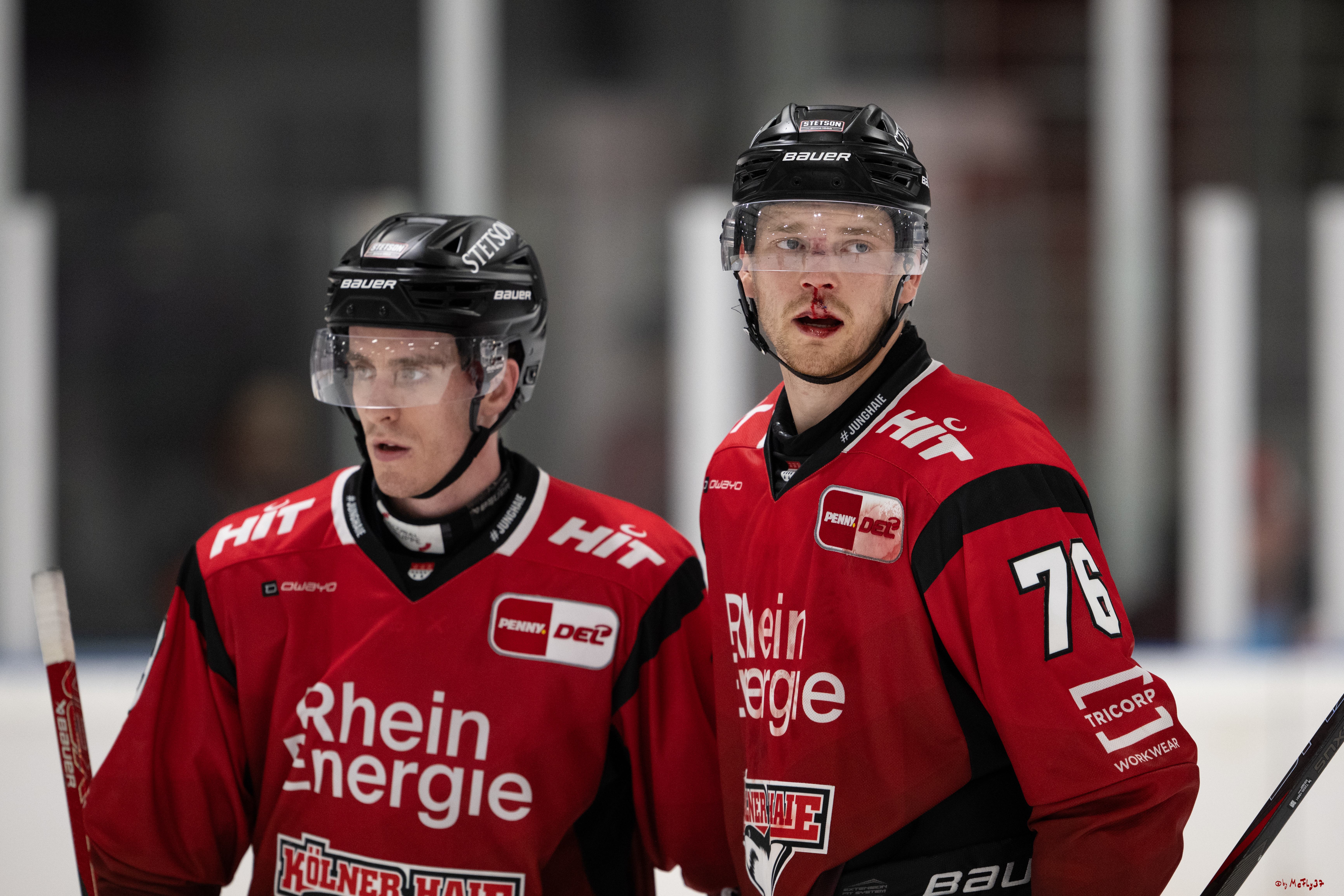 PENNY DEL 1; Testspiel Kölner Haie - Tappara Tampere; Köln, 14.08.2025