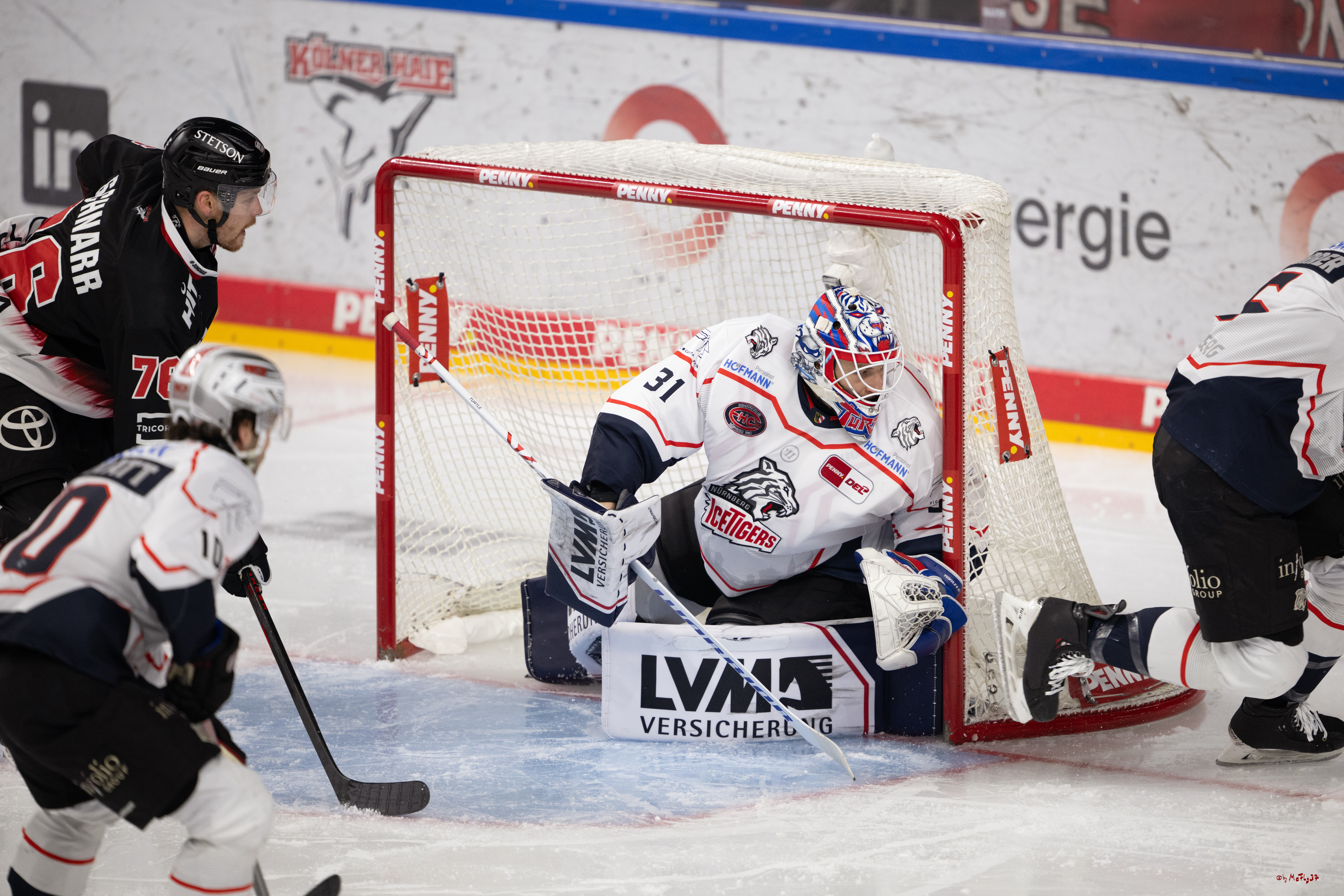 PENNY DEL 1; Kölner Haie - Nürnberg Ice Tigers; Köln, 25.01.2026