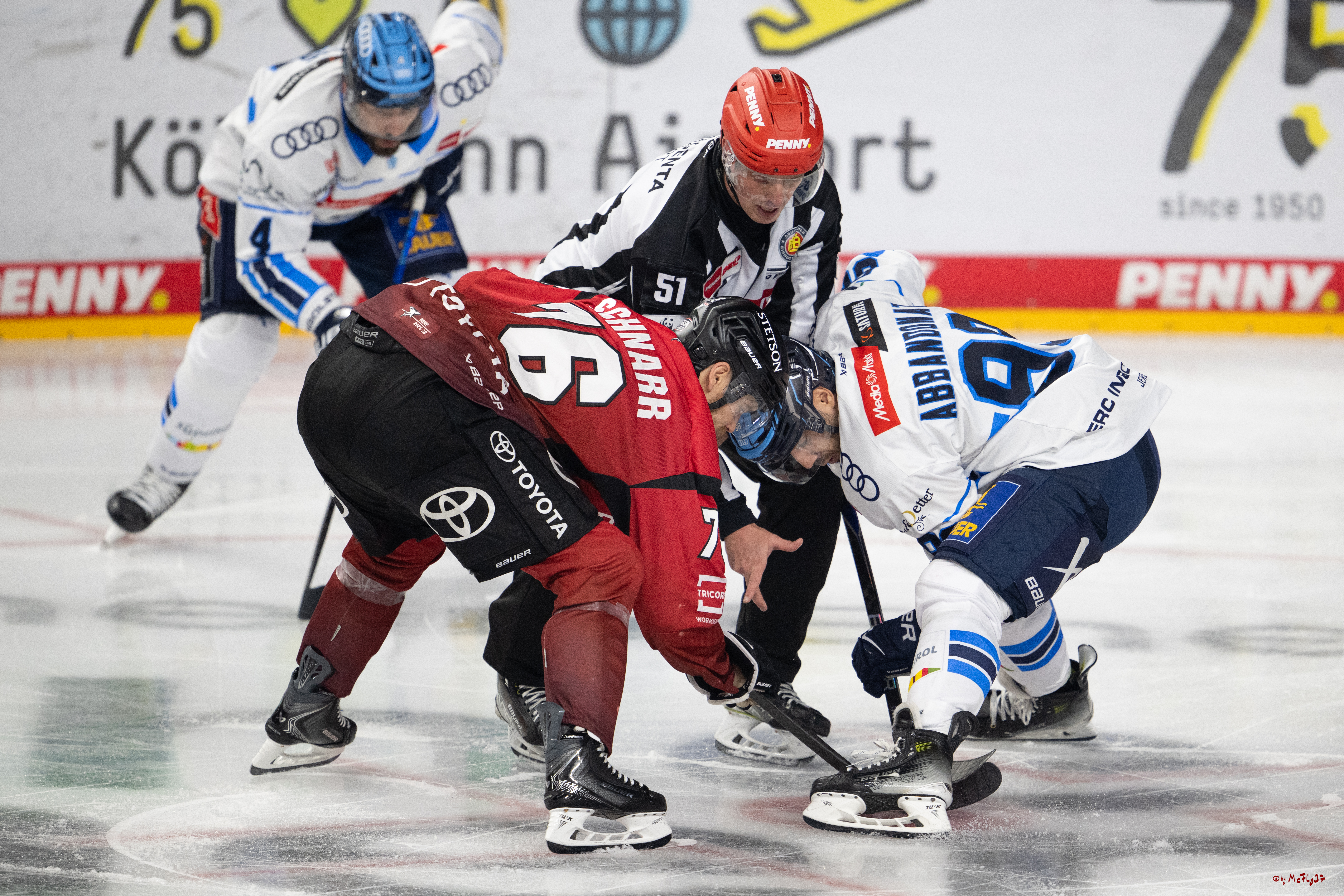 PENNY DEL 1; Kölner Haie - ERC Ingolstadt; Köln, 10.10.2025