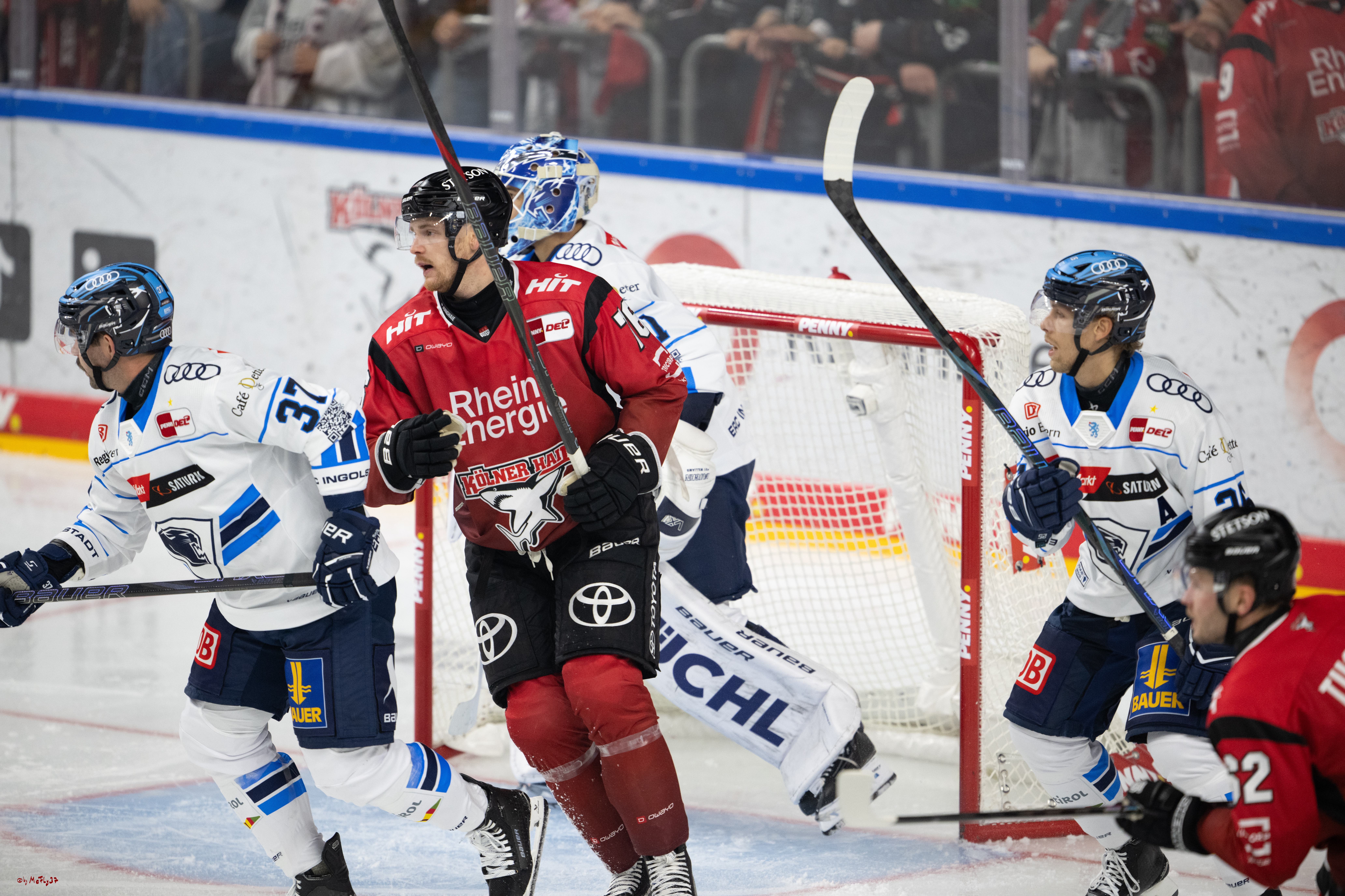 PENNY DEL 1; Kölner Haie - ERC Ingolstadt; Köln, 10.10.2025