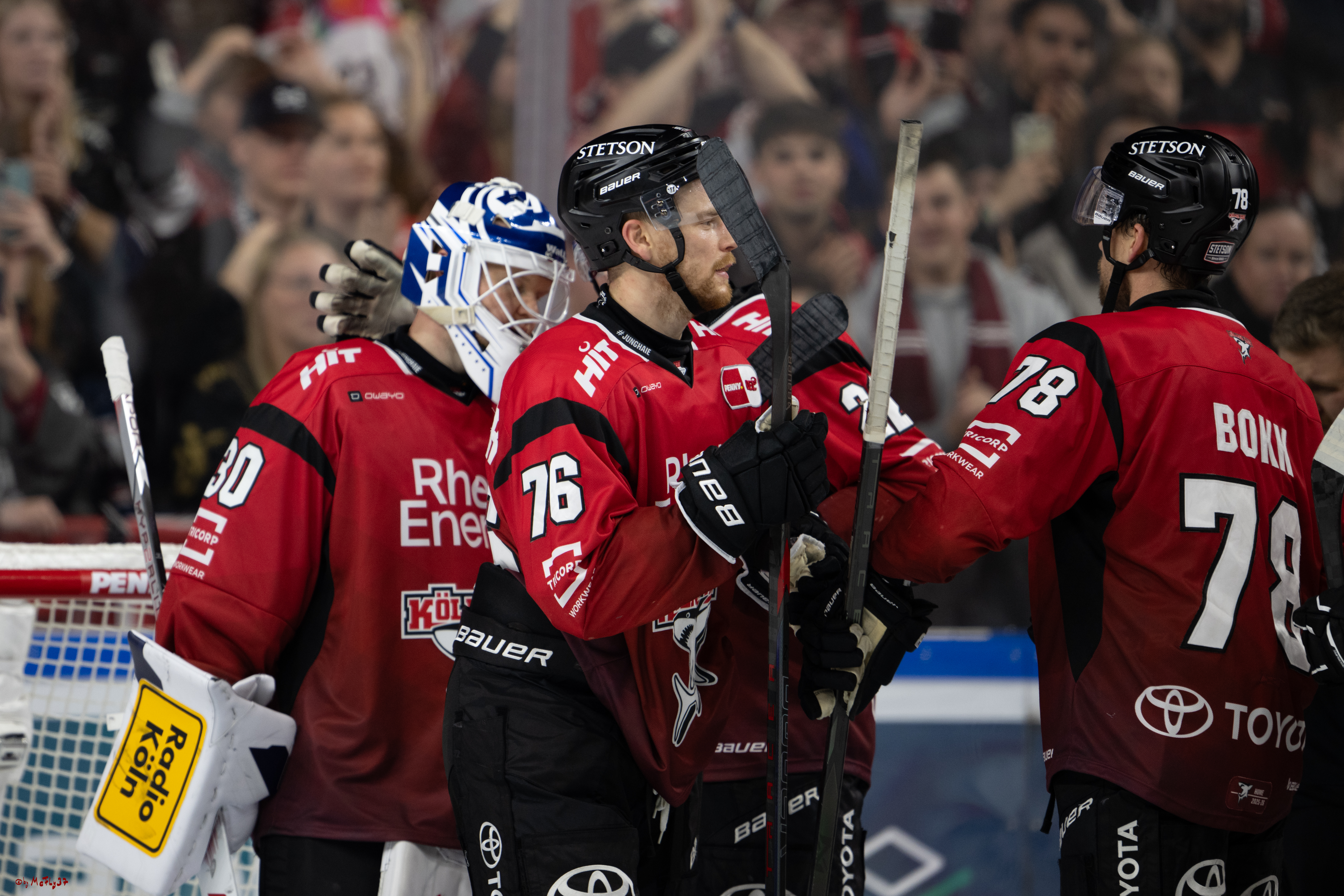 PENNY DEL 1; Kölner Haie - Löwen Frankfurt; Köln, 26.10.2025