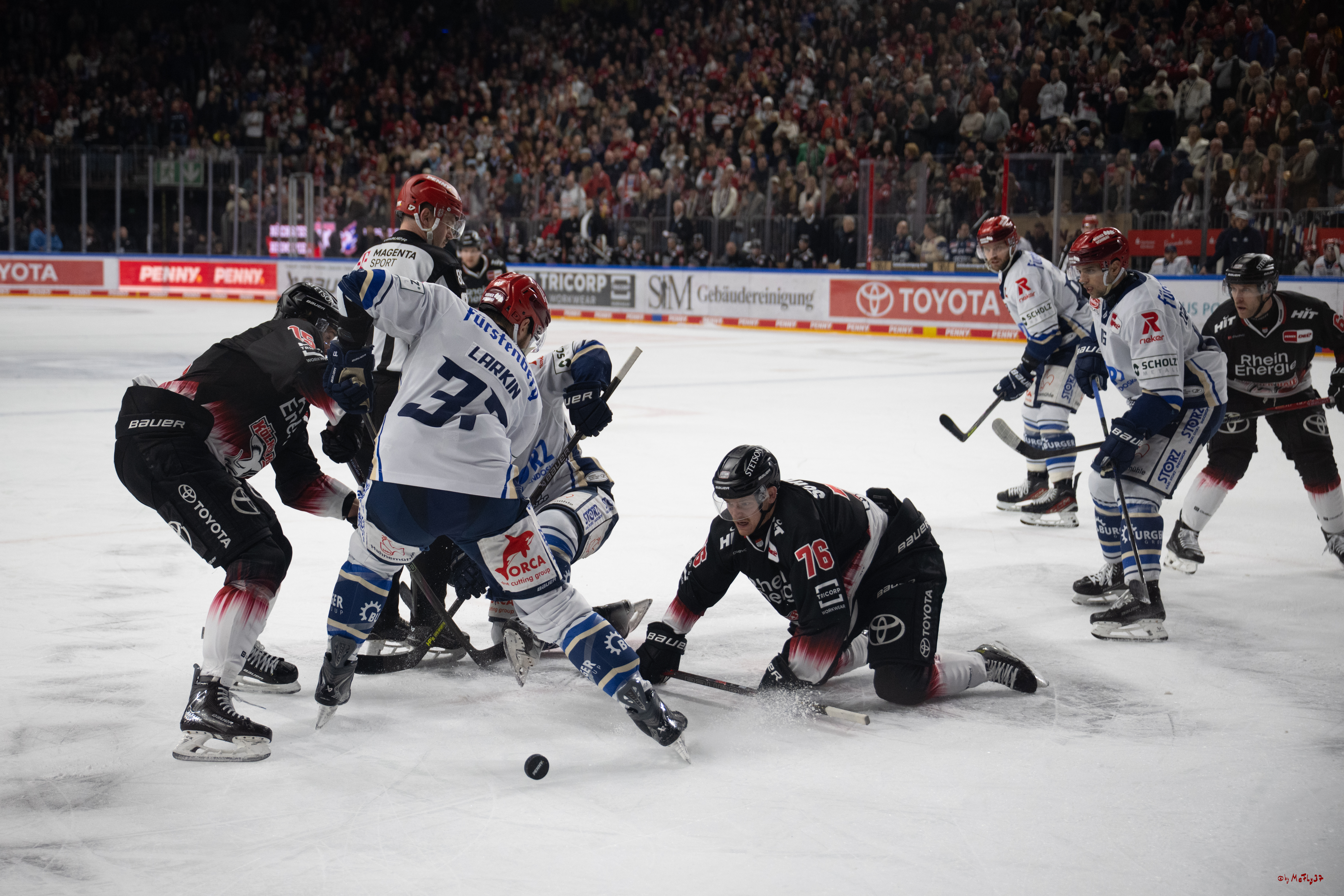 PENNY DEL 1; Kölner Haie - Schwenninger Wild Wings; Köln, 23.11.2025