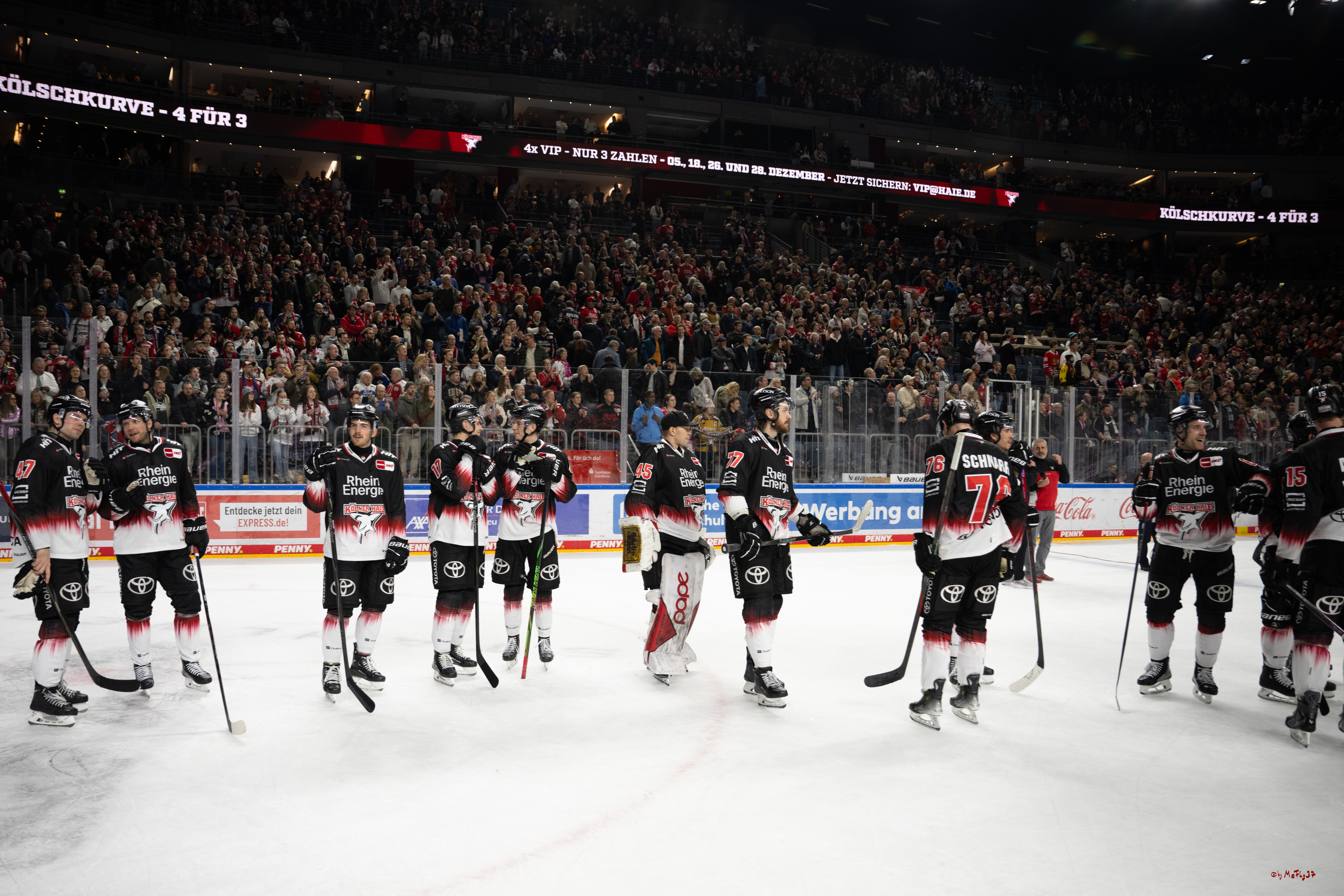 PENNY DEL 1; Kölner Haie - Adler Mannheim; Köln, 25.11.2025