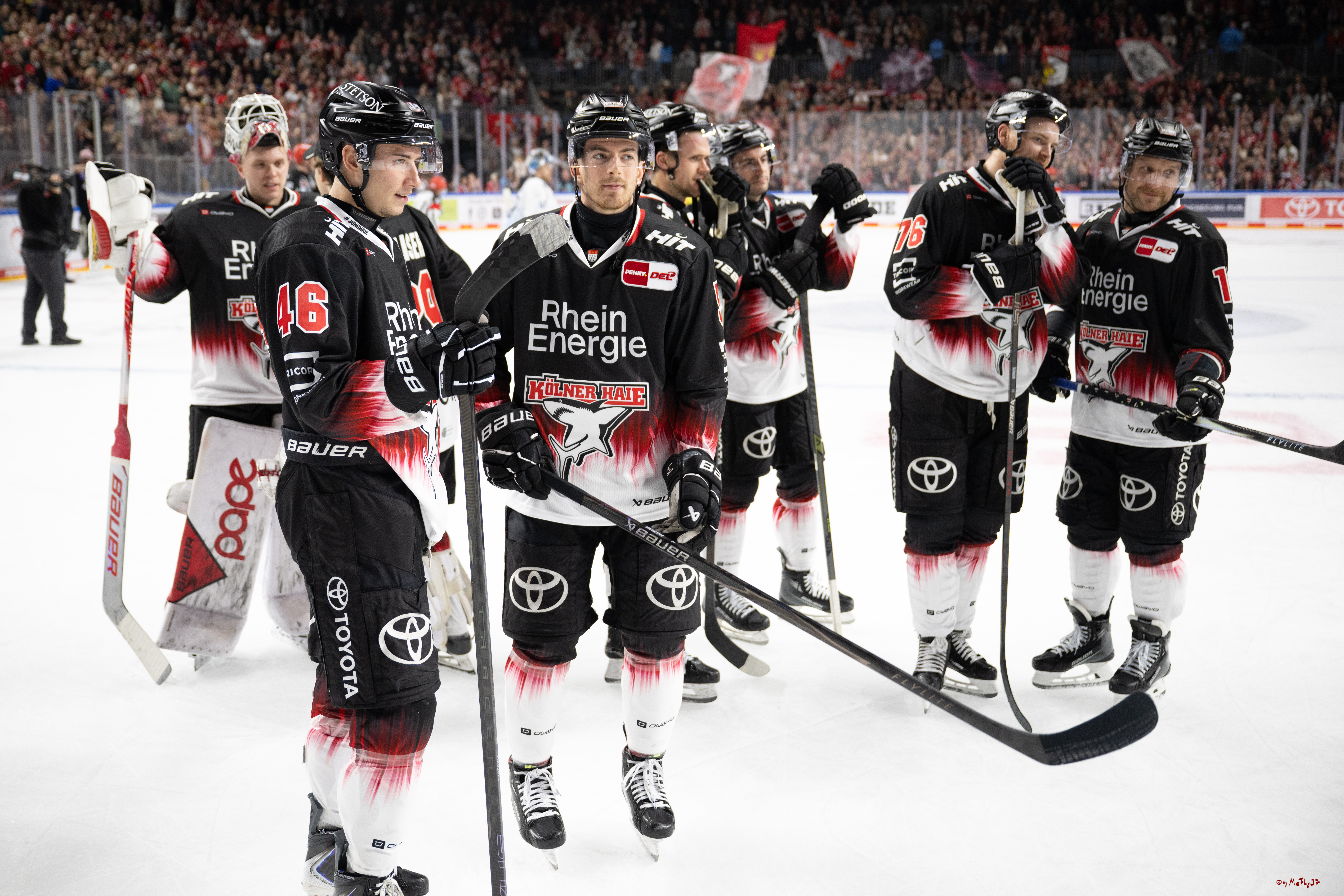 PENNY DEL 1; Kölner Haie - Straubing Tigers; Köln, 19.10.2025