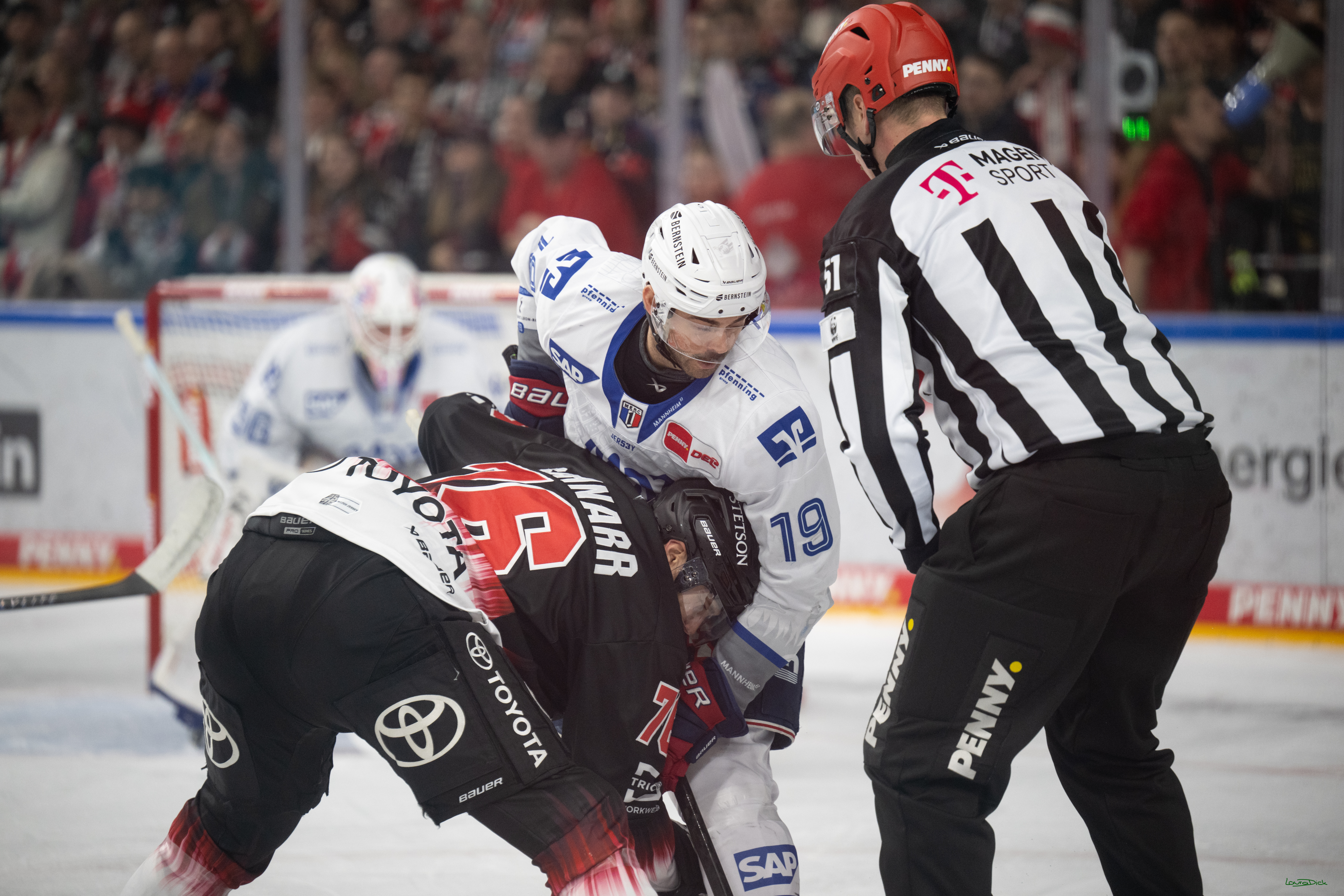 PENNY DEL 1; Kölner Haie - Adler Mannheim; Köln, 25.11.2025