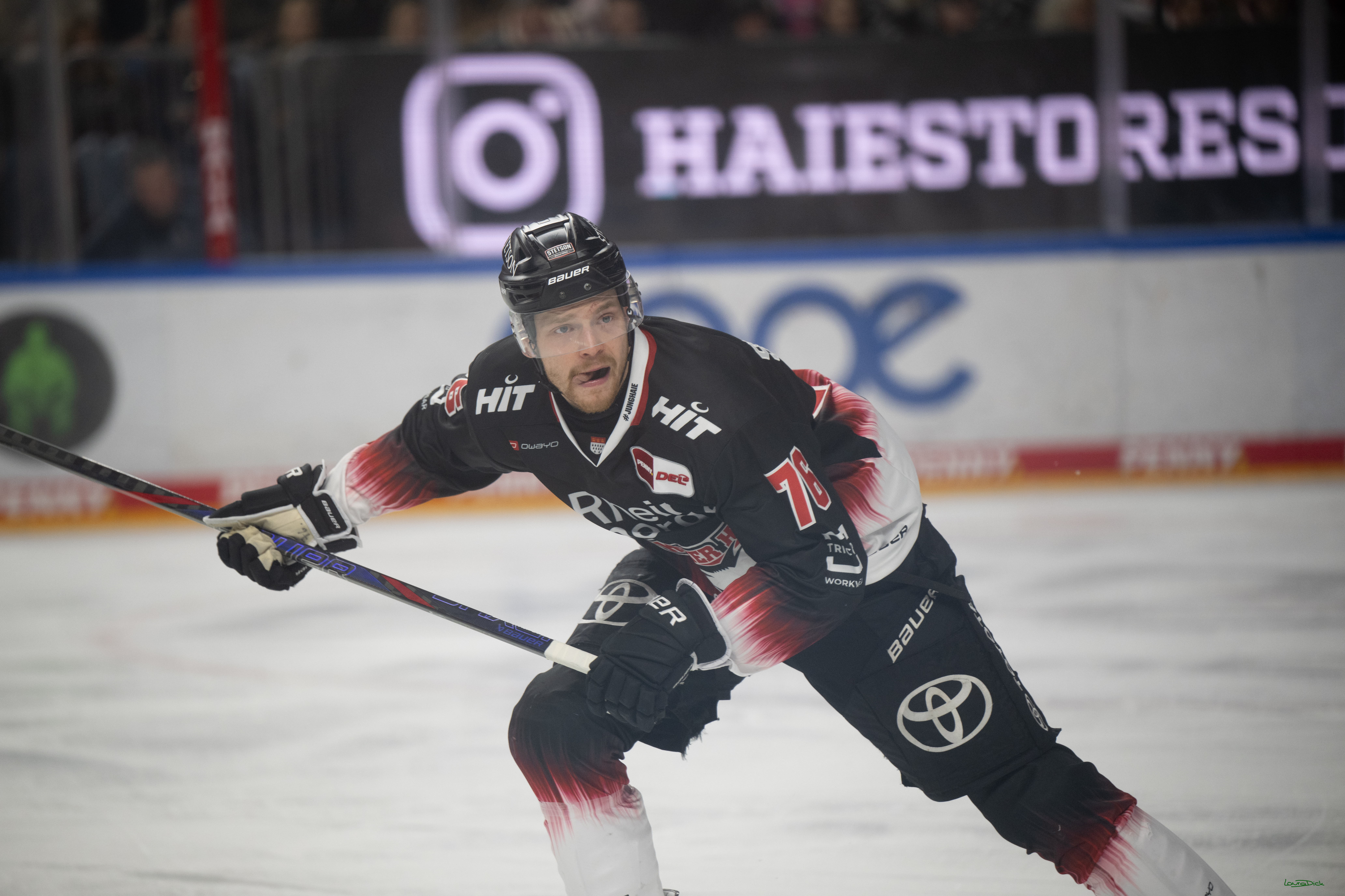 PENNY DEL 1; Kölner Haie - Nürnberg Ice Tigers; Köln, 25.01.2026