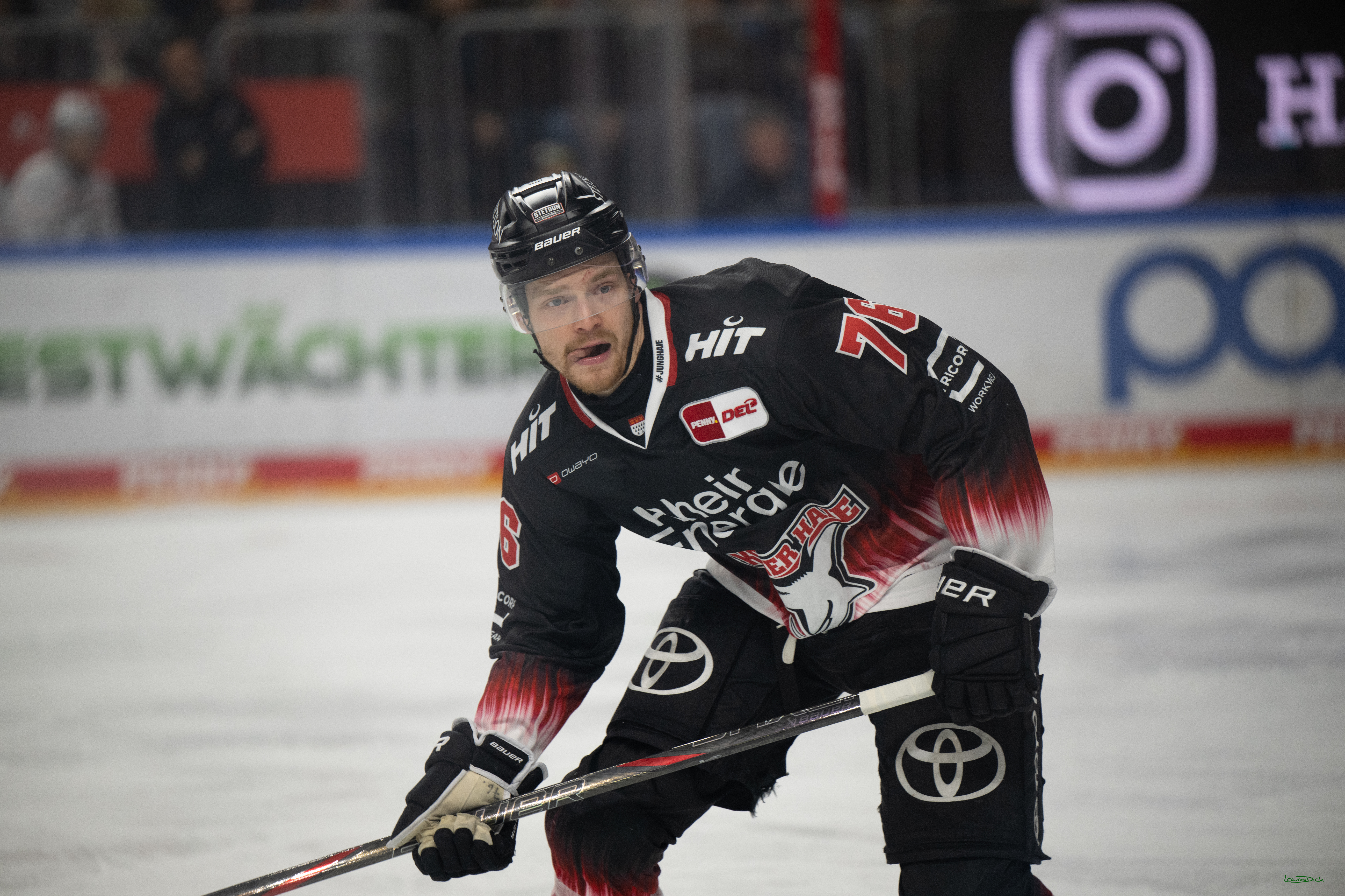 PENNY DEL 1; Kölner Haie - Nürnberg Ice Tigers; Köln, 25.01.2026