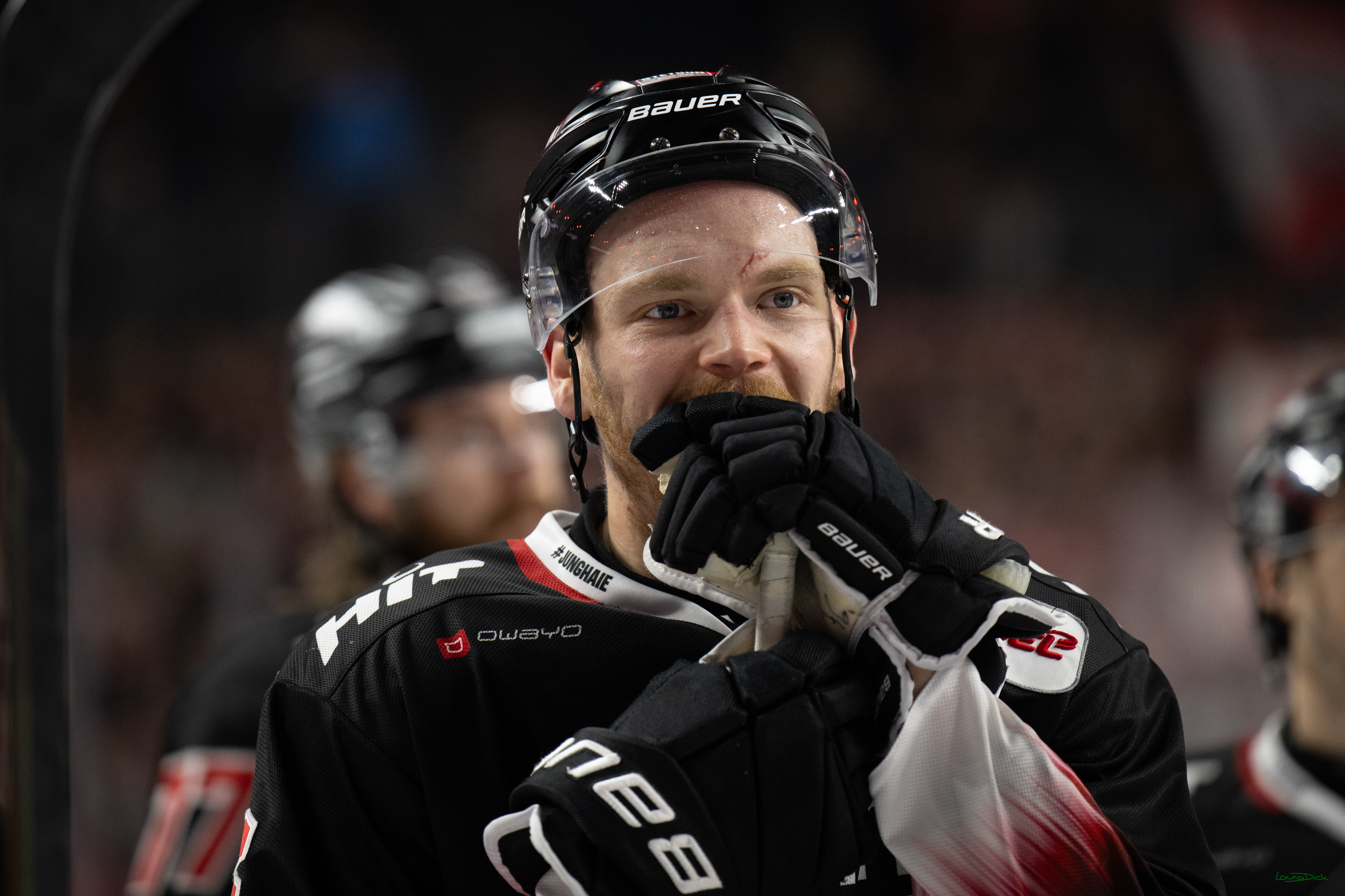 PENNY DEL 1; Kölner Haie - Löwen Frankfurt; Köln, 27.01.2026