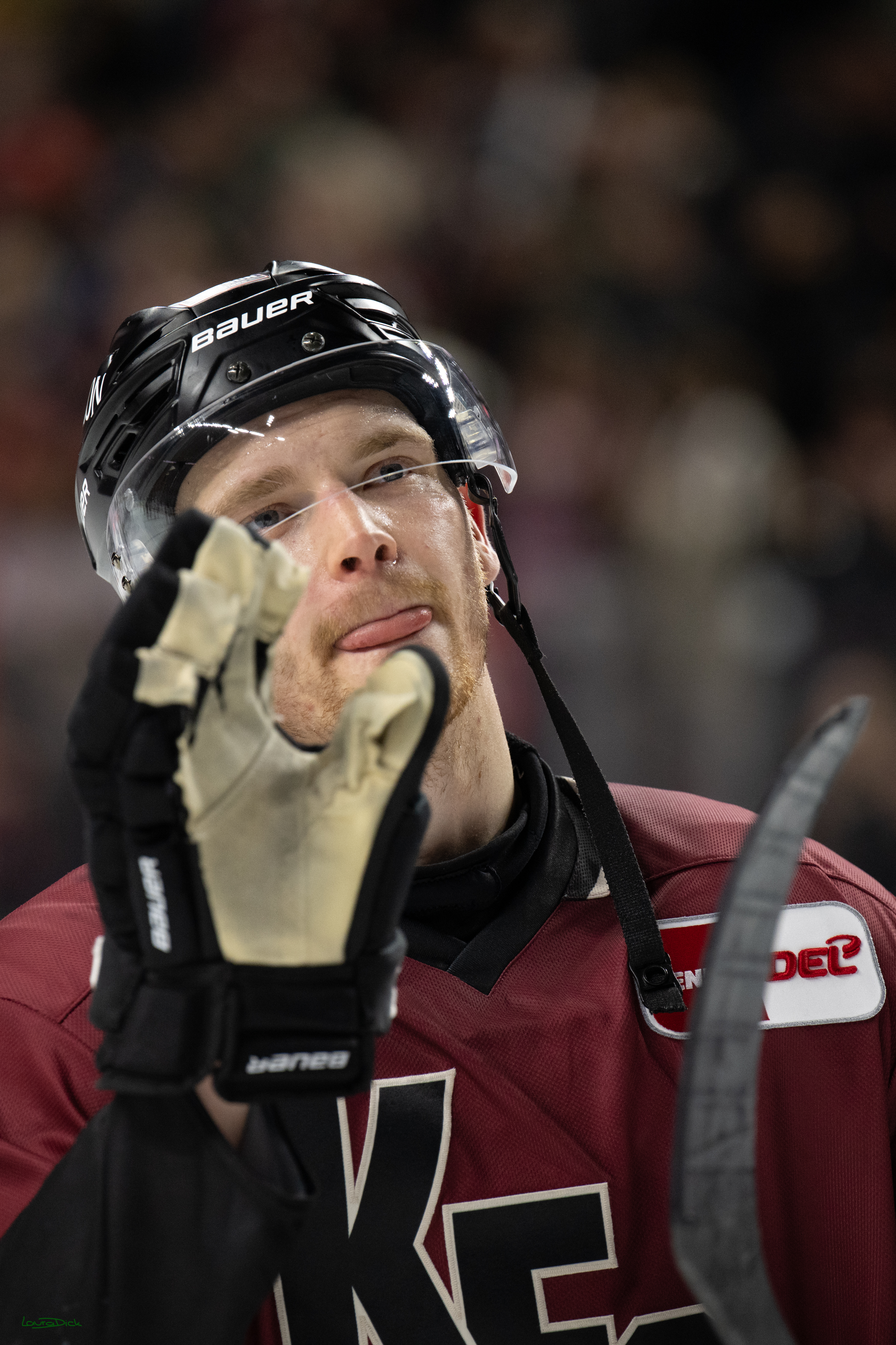 PENNY DEL; Kölner Haie-Adler Mannheim; Köln, 14.12.2025
