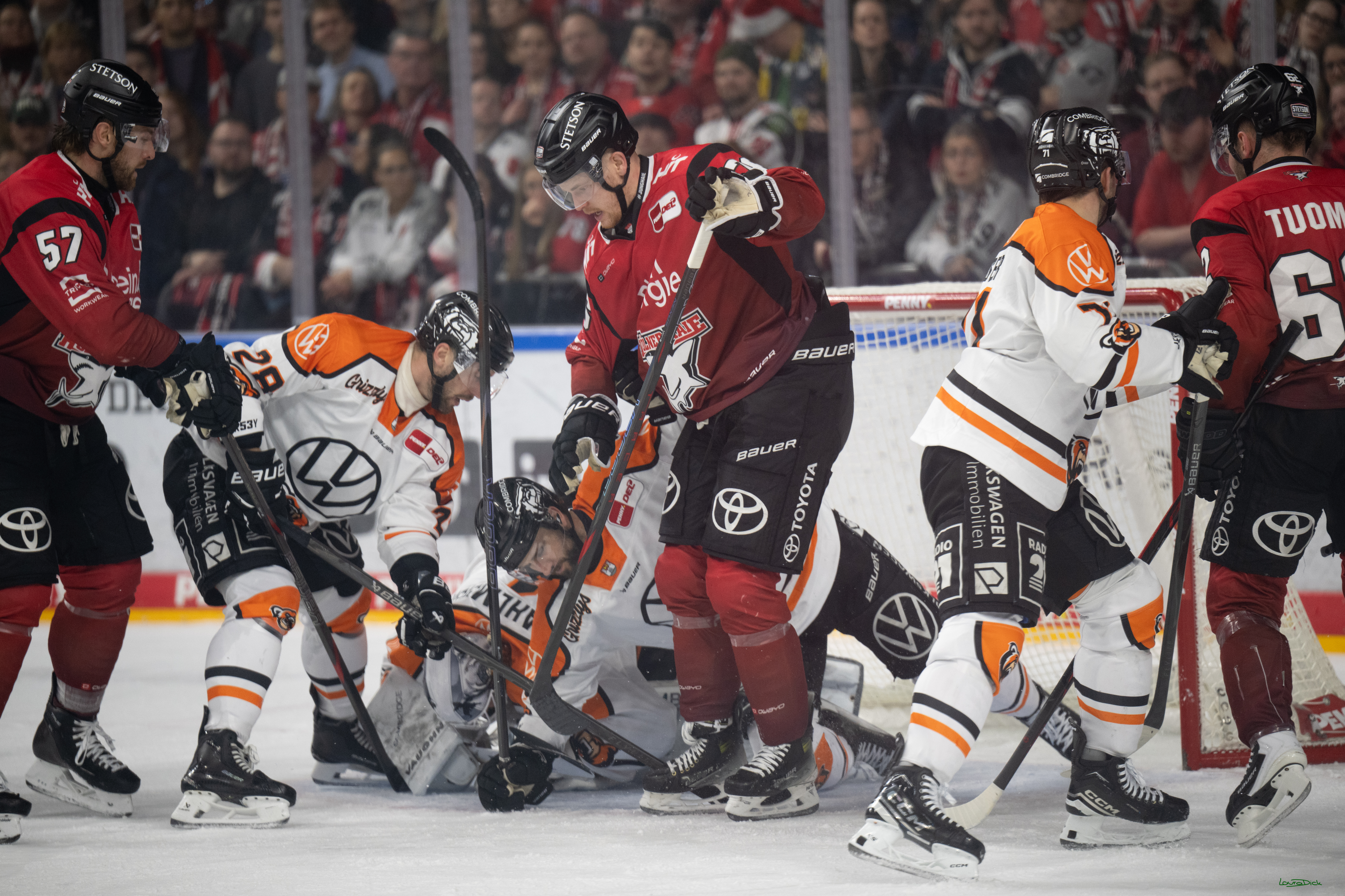 PENNY DEL; Kölner Haie-Grizzlys Wolfsburg; Köln, 18.12.2025