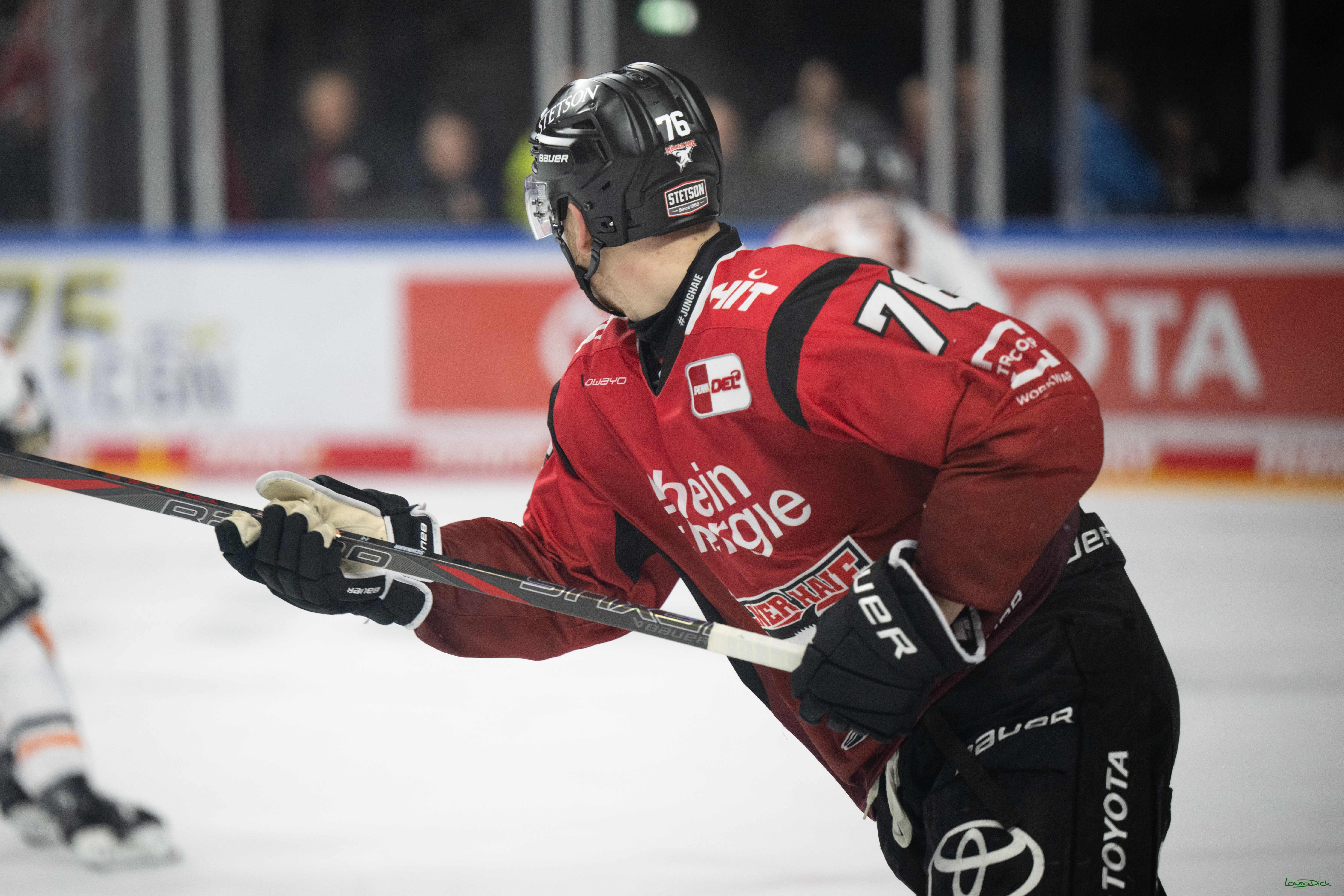 PENNY DEL; Kölner Haie-Grizzlys Wolfsburg; Köln, 18.12.2025
