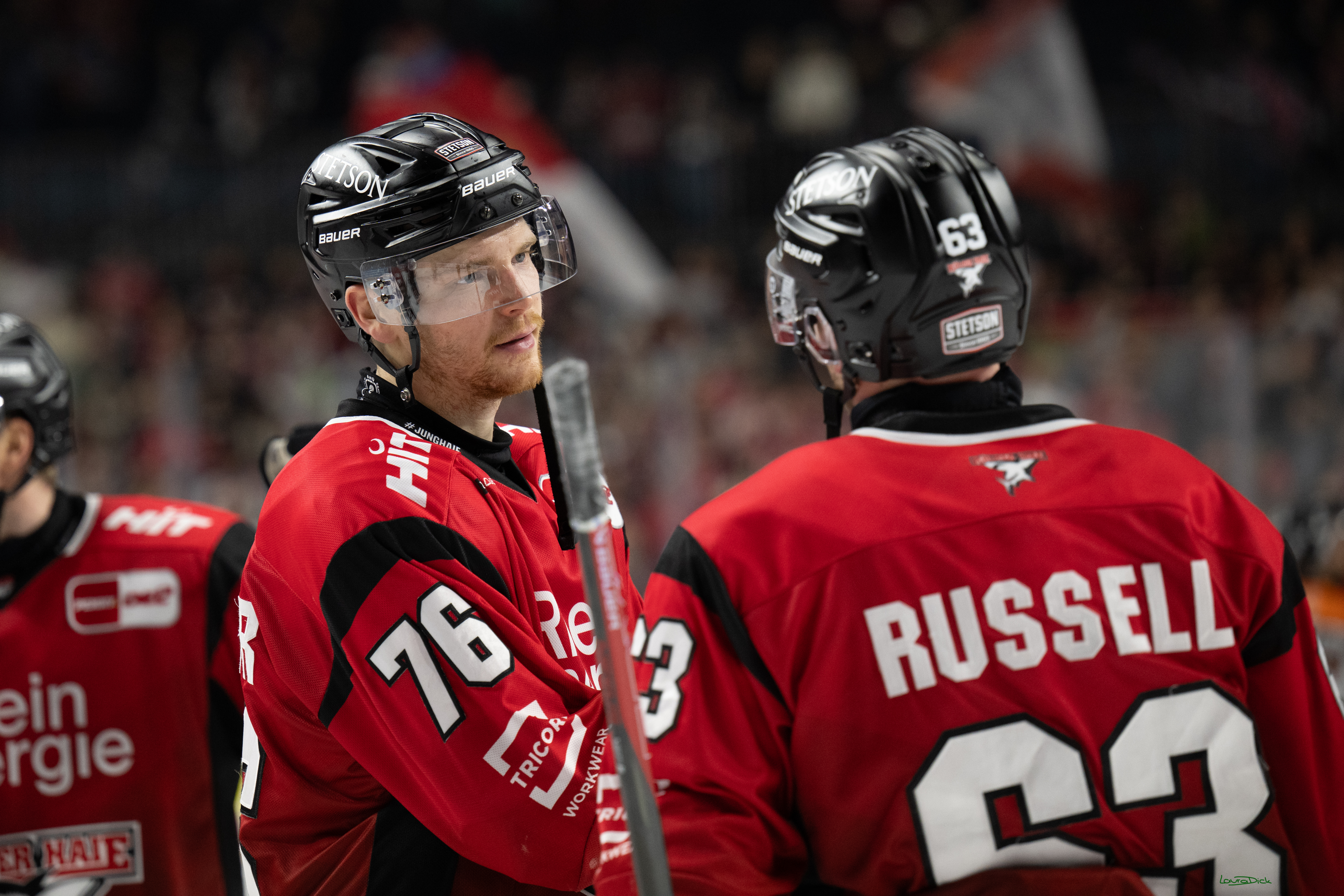 PENNY DEL; Kölner Haie-Grizzlys Wolfsburg; Köln, 18.12.2025