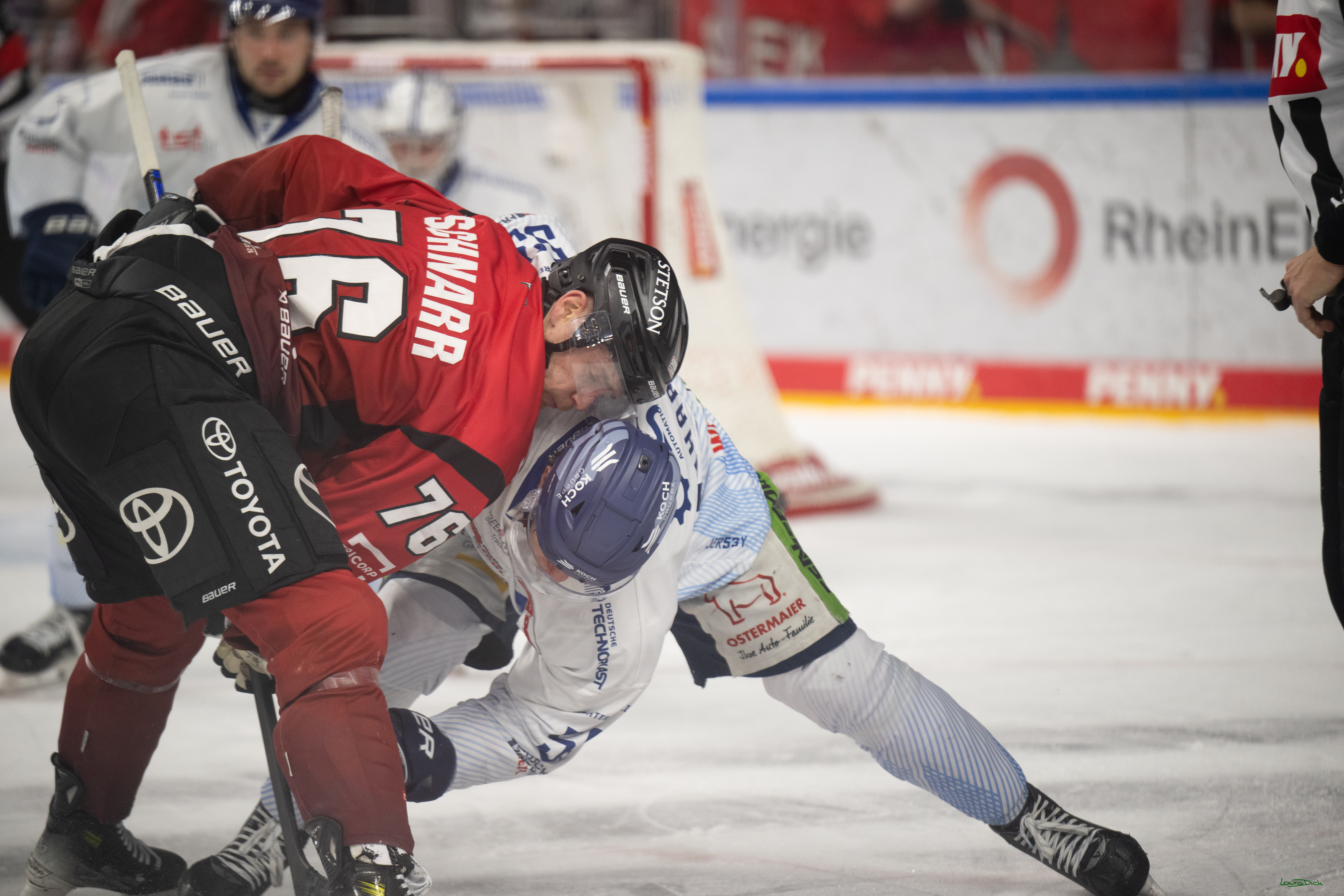 PENNY DEL 1; Kölner Haie - Straubing Tigers; Köln, 02.01.2026