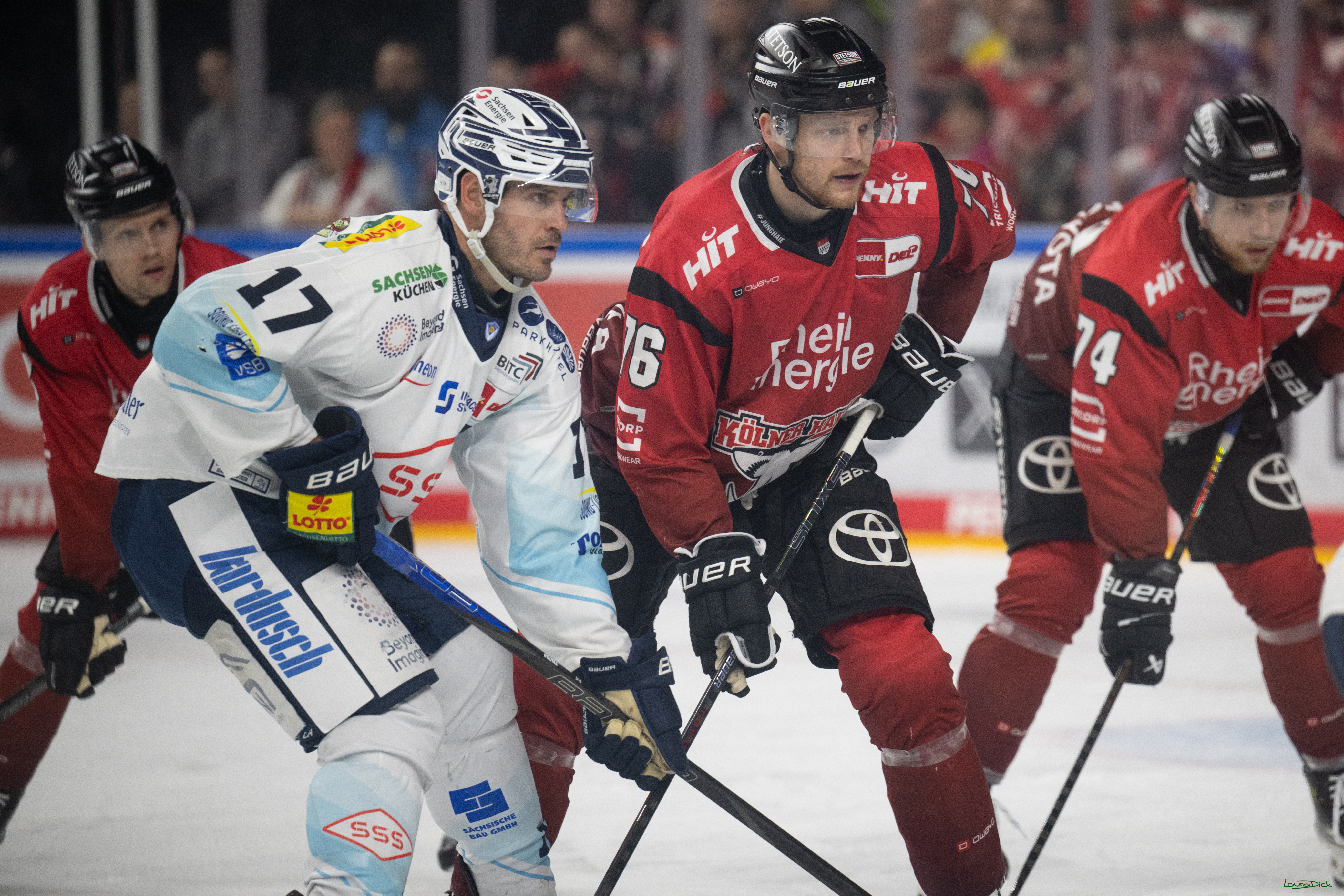 PENNY DEL 1; Kölner Haie - Dresdner Eislöwen; Köln, 25.02.2026