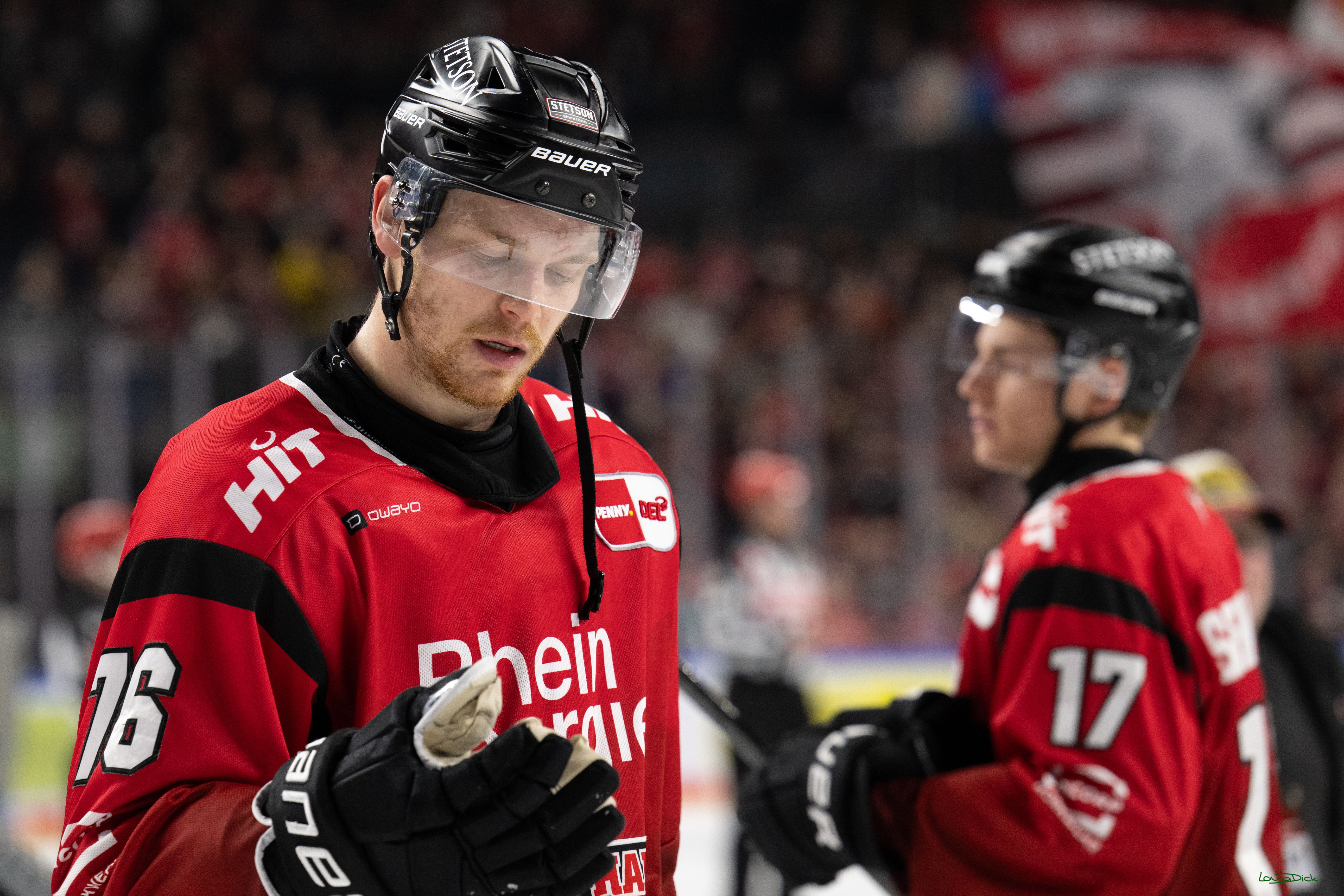 PENNY DEL 1; Kölner Haie - Dresdner Eislöwen; Köln, 25.02.2026
