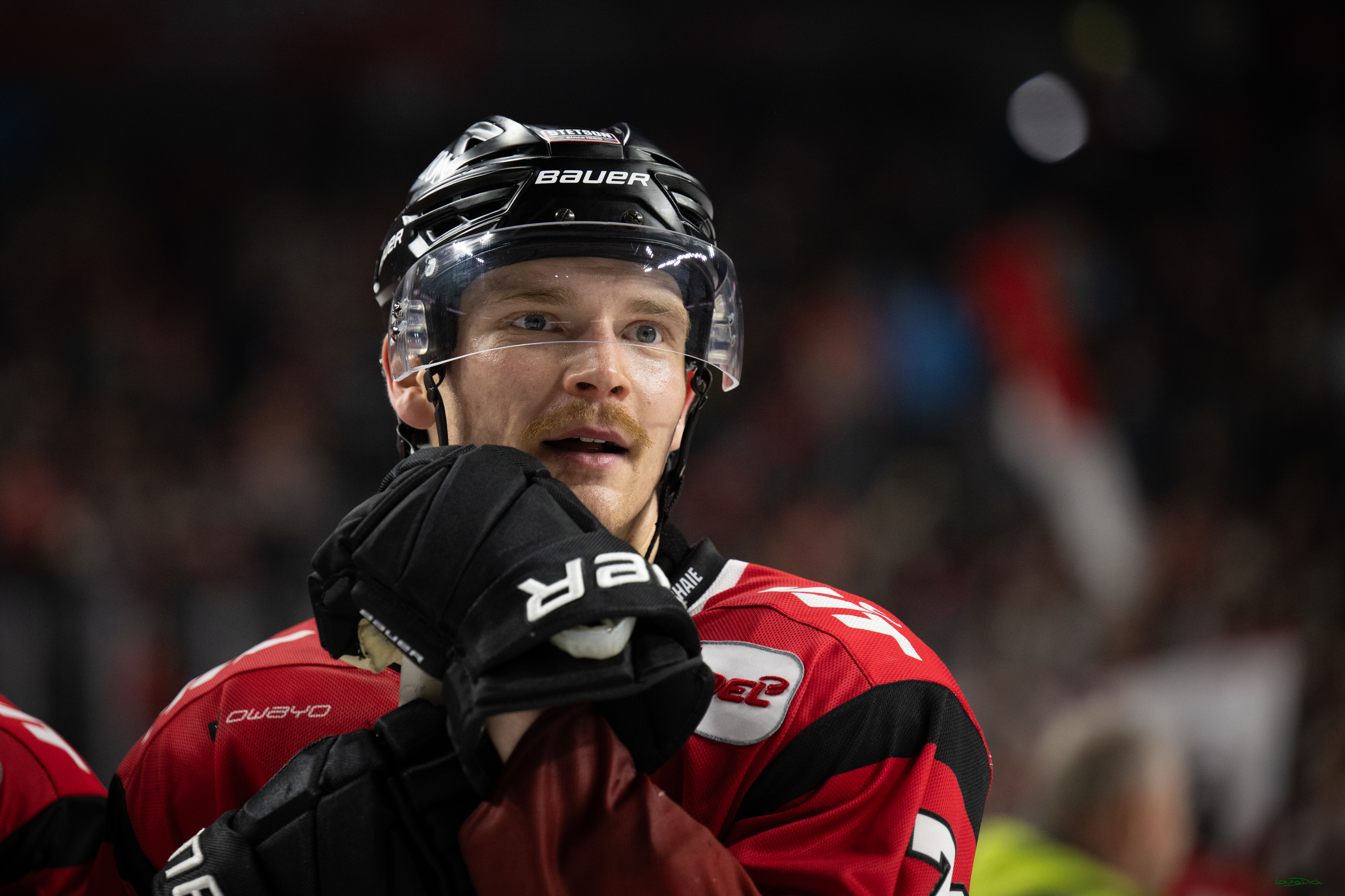 PENNY DEL 1; Kölner Haie - Dresdner Eislöwen; Koeln, 16.11.2025